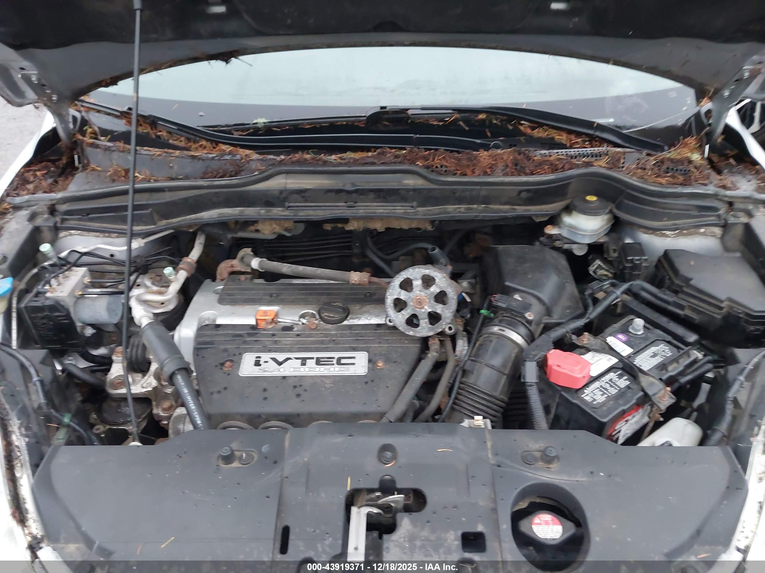 HONDA CR-V image 10