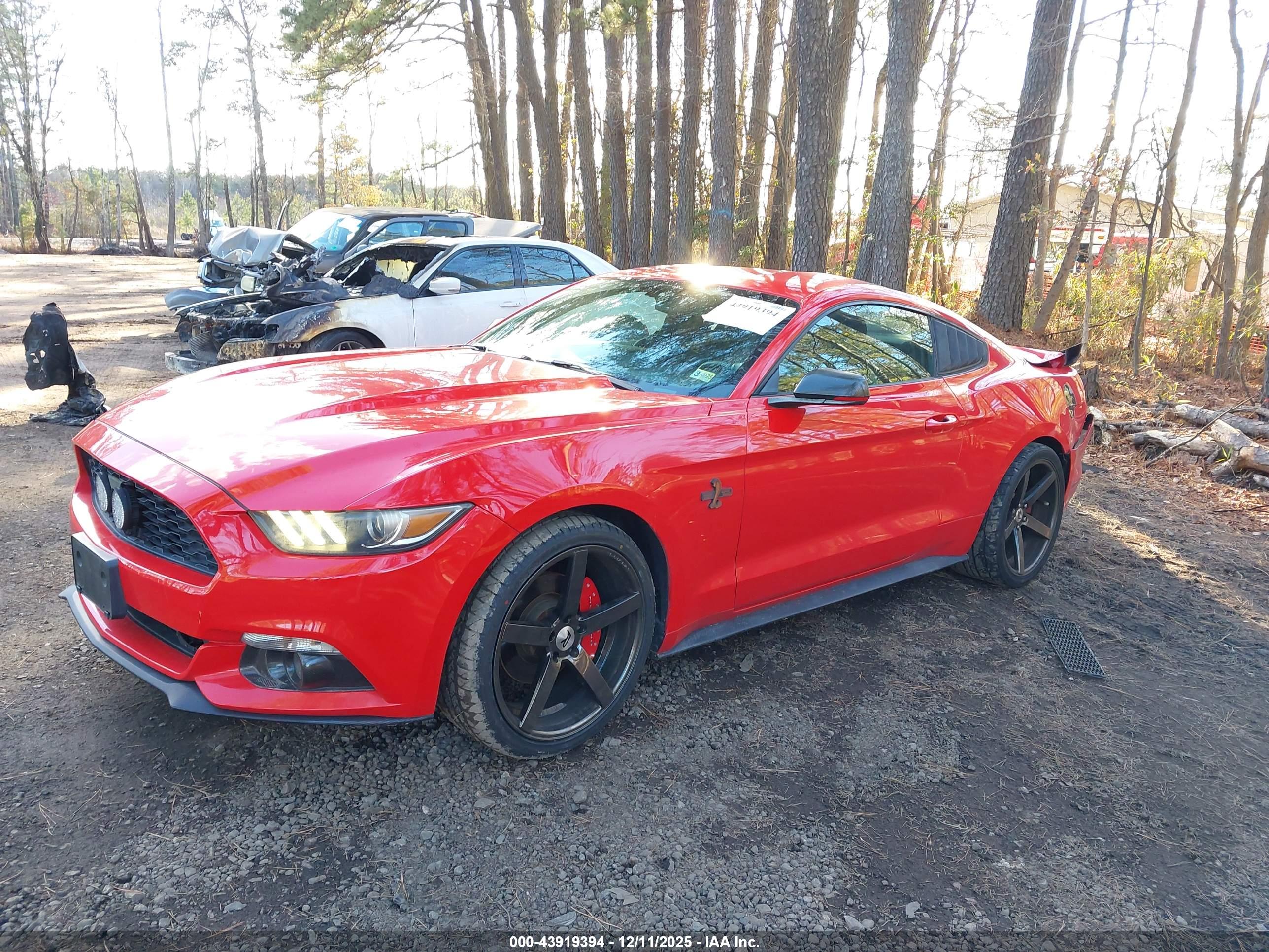 FORD MUSTANG image 2