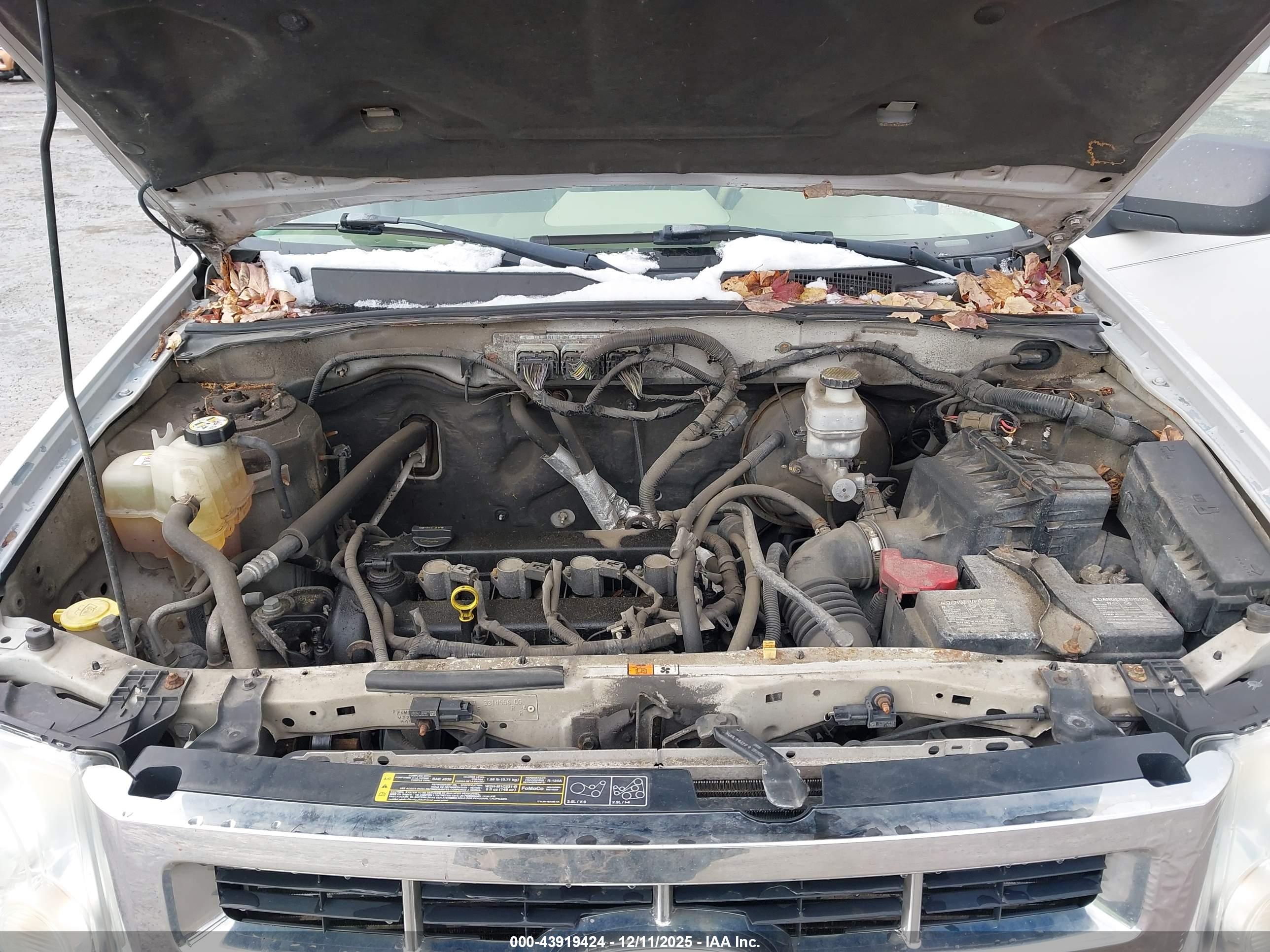 FORD ESCAPE image 10