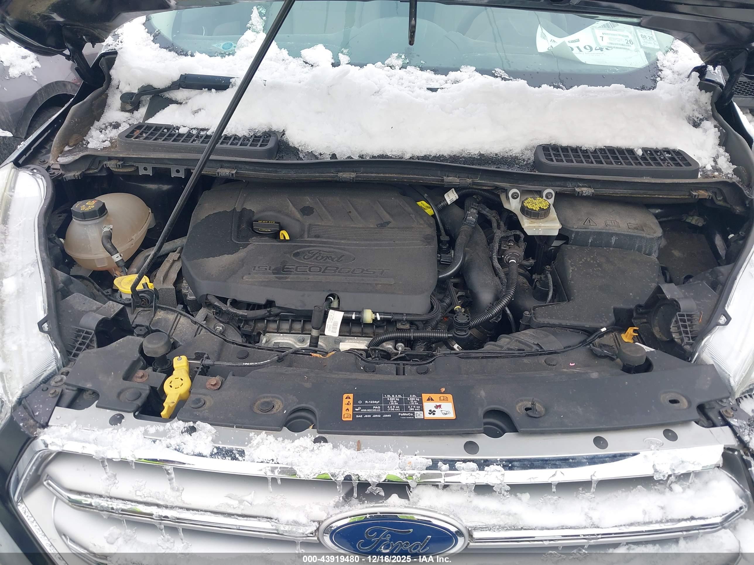FORD ESCAPE image 10