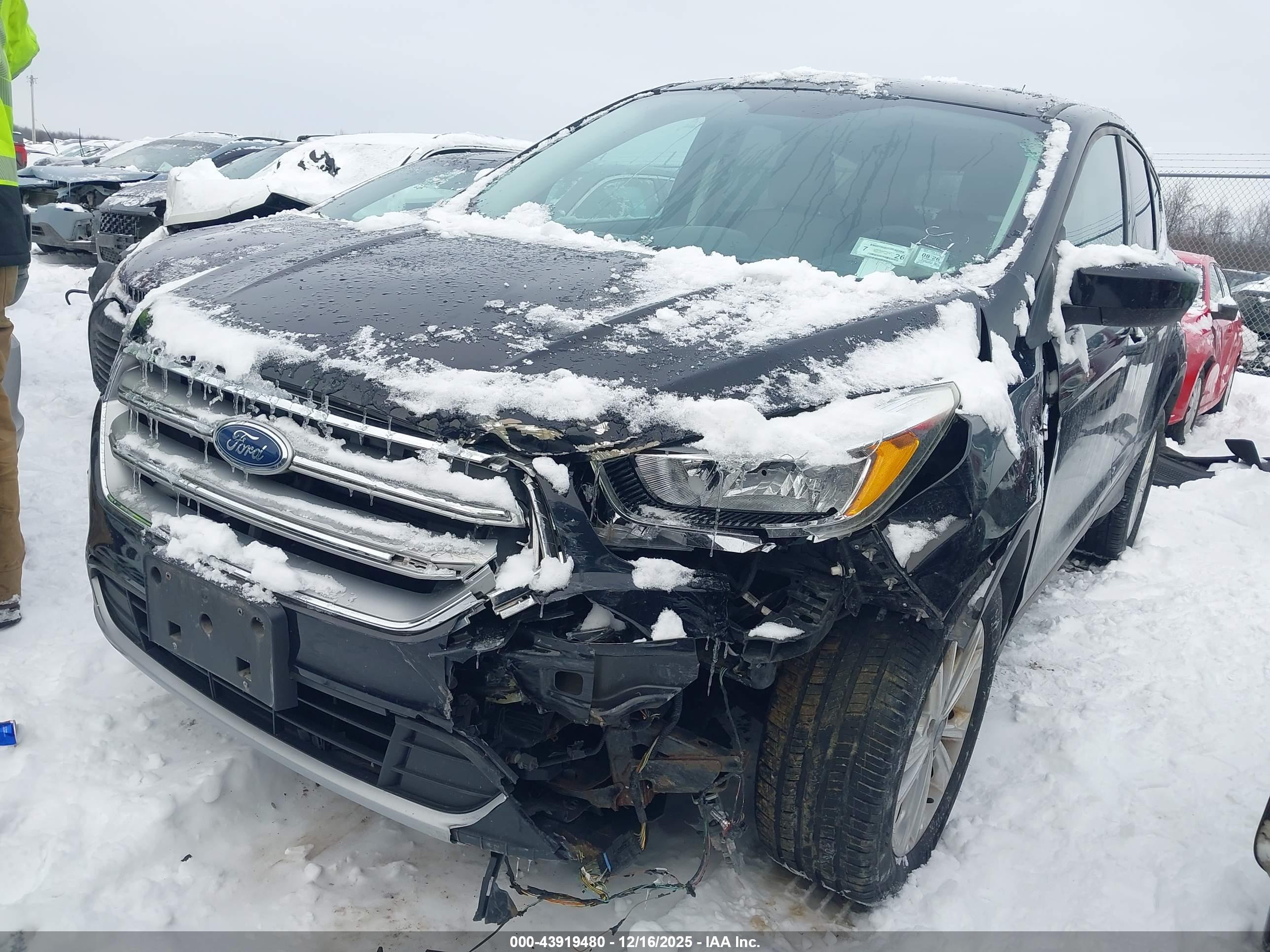 FORD ESCAPE image 2