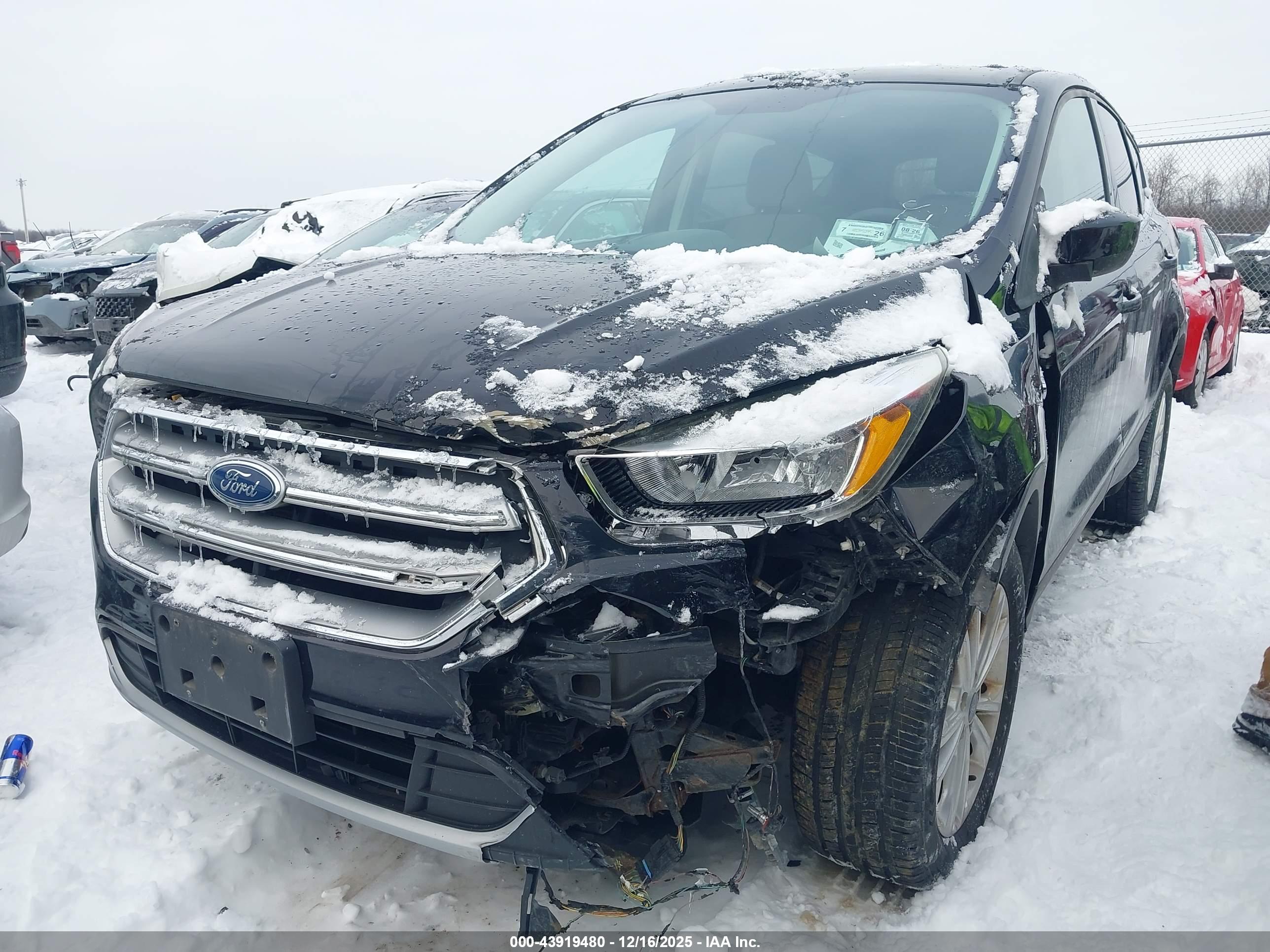 FORD ESCAPE image 6