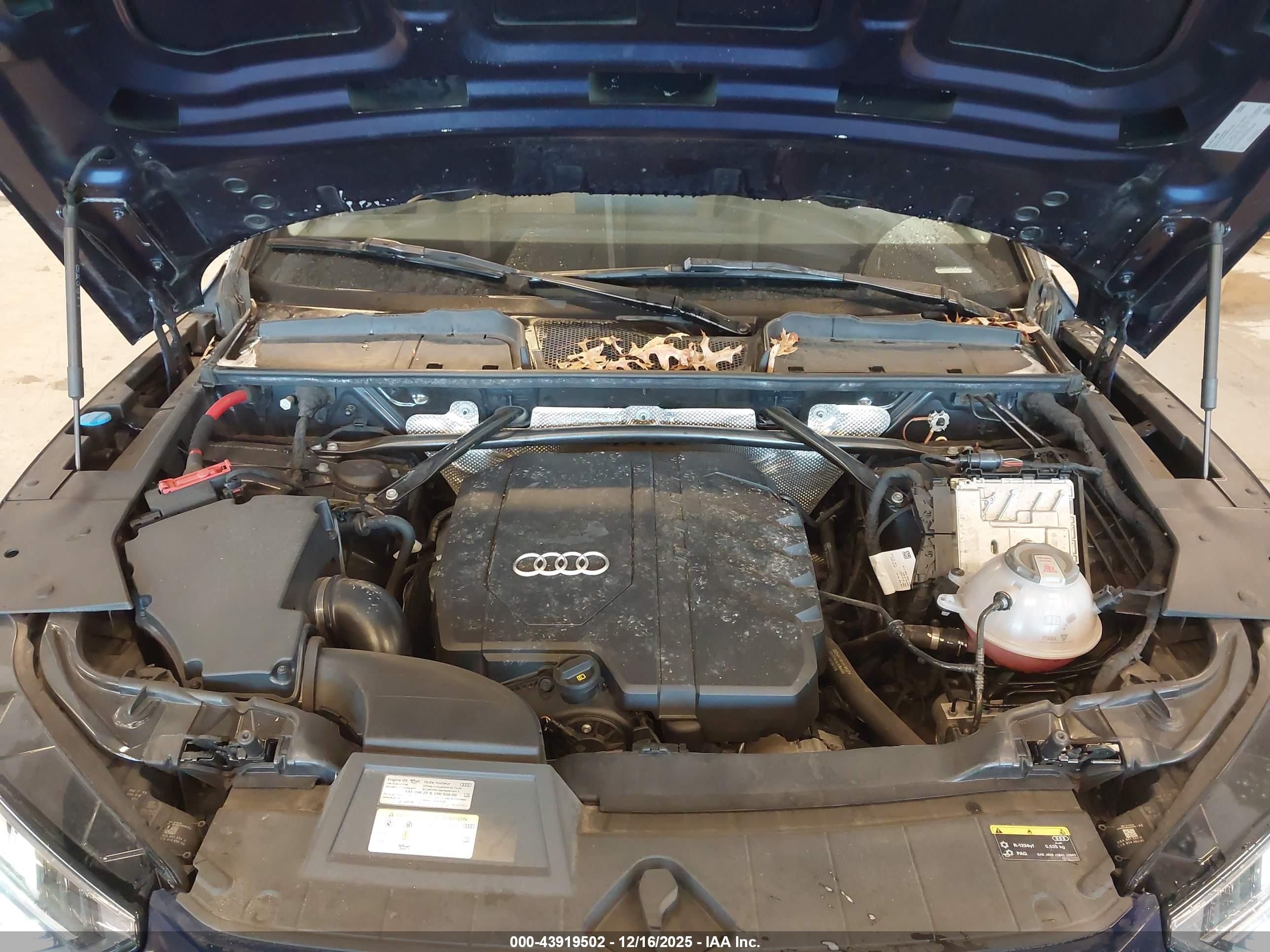 AUDI Q5 image 10
