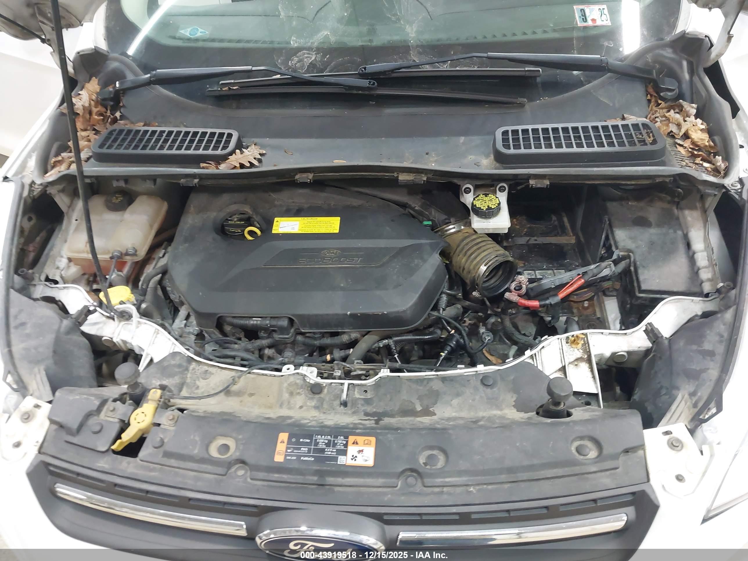 FORD ESCAPE image 10