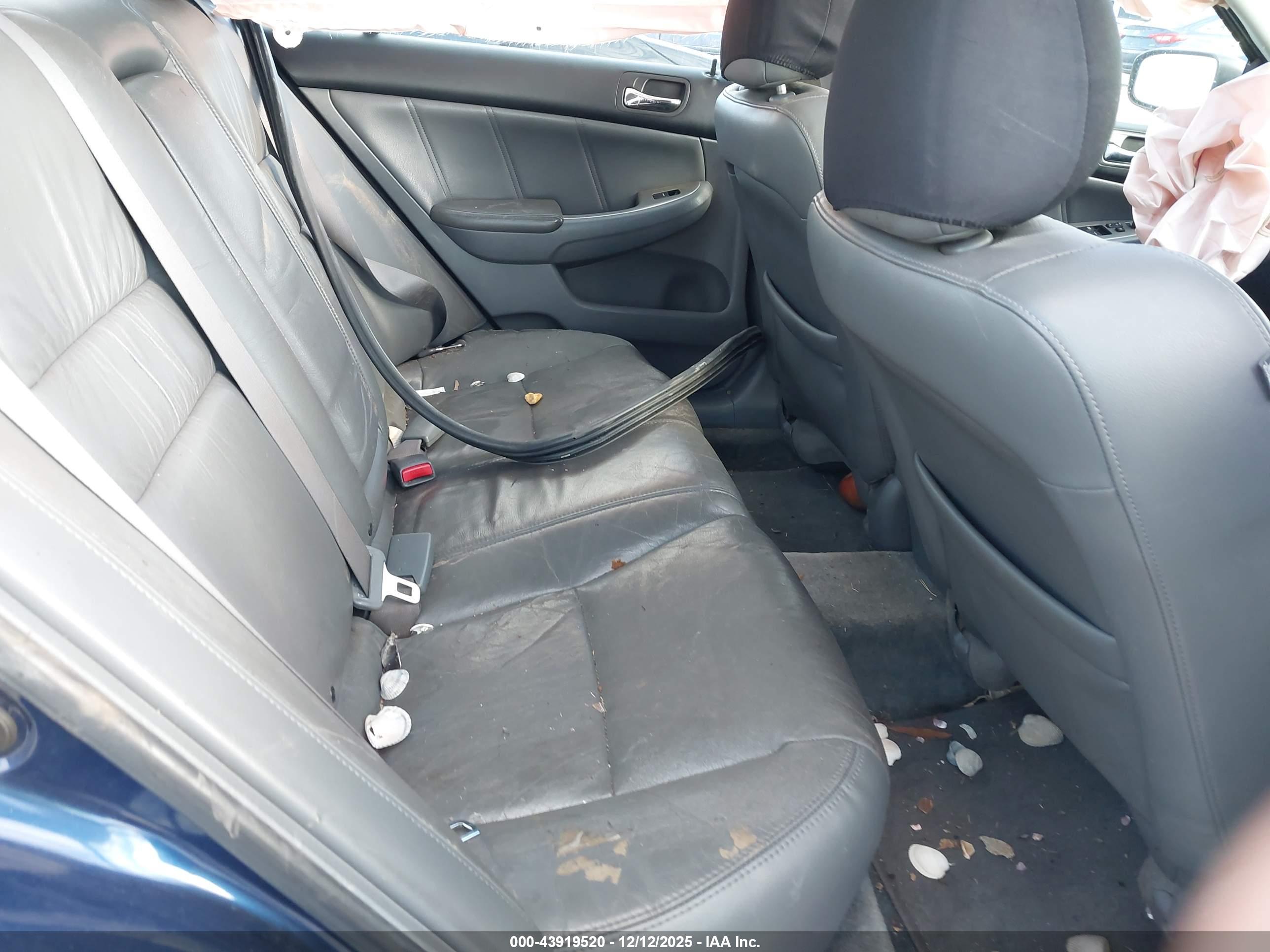 HONDA ACCORD image 8