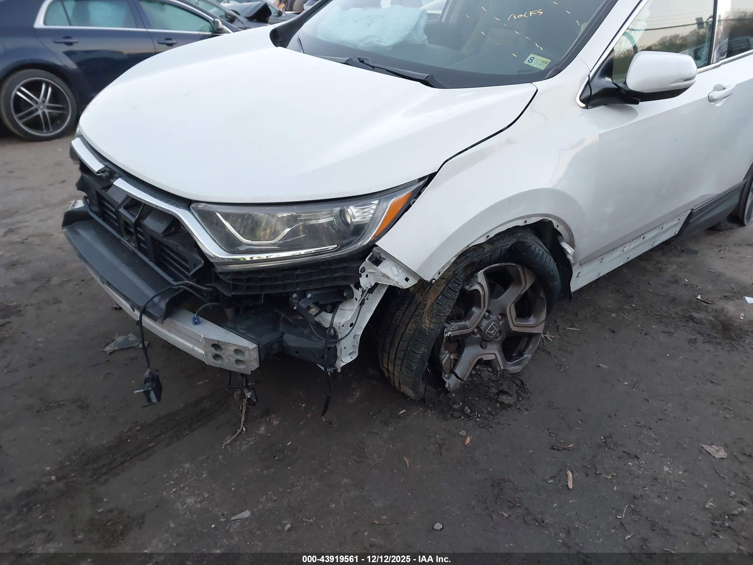 HONDA CR-V image 6
