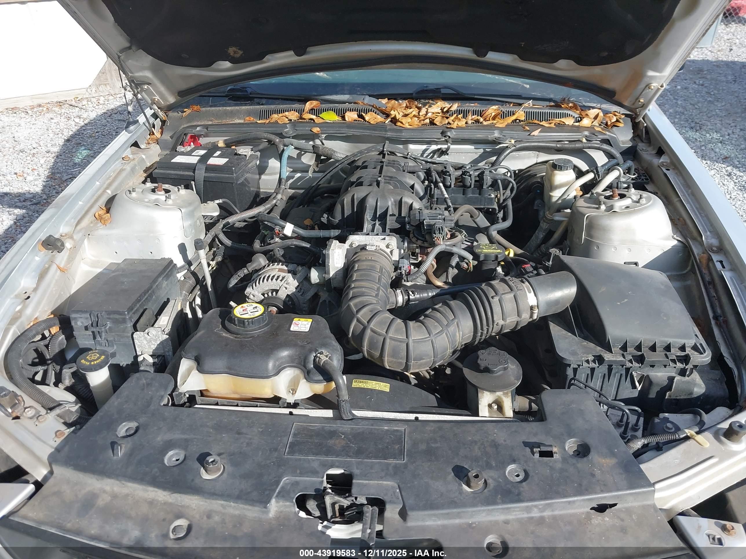 FORD MUSTANG image 10