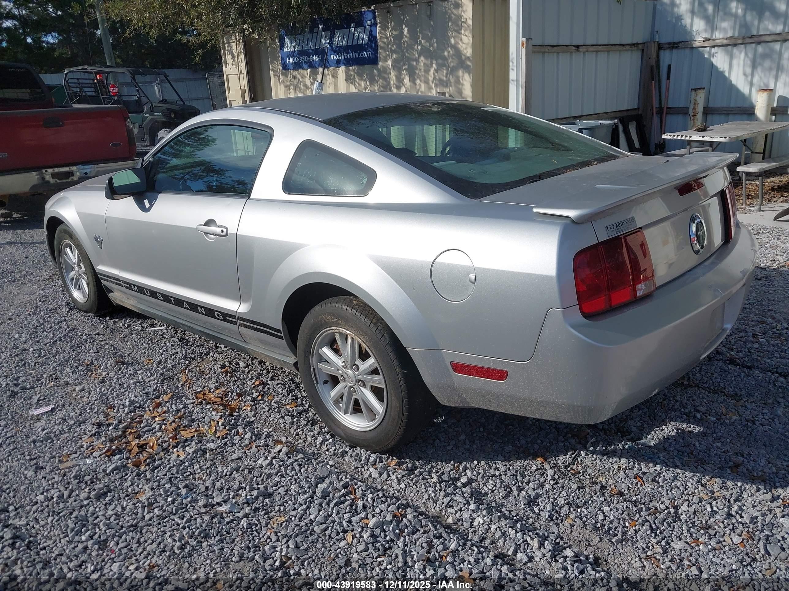 FORD MUSTANG image 3