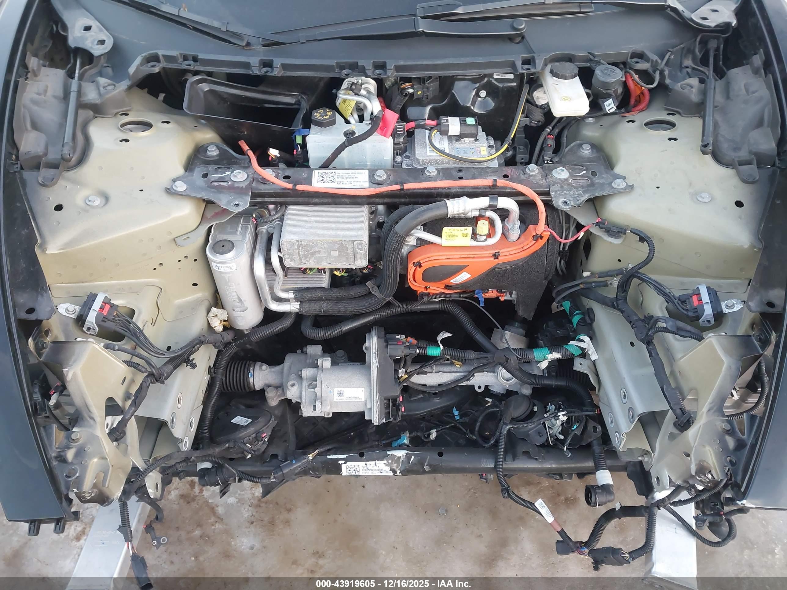 TESLA MODEL image 10