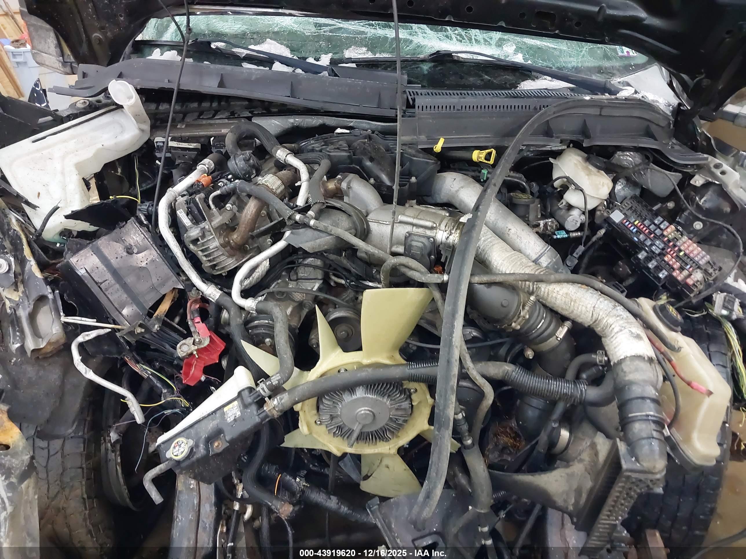 FORD F-250 image 10