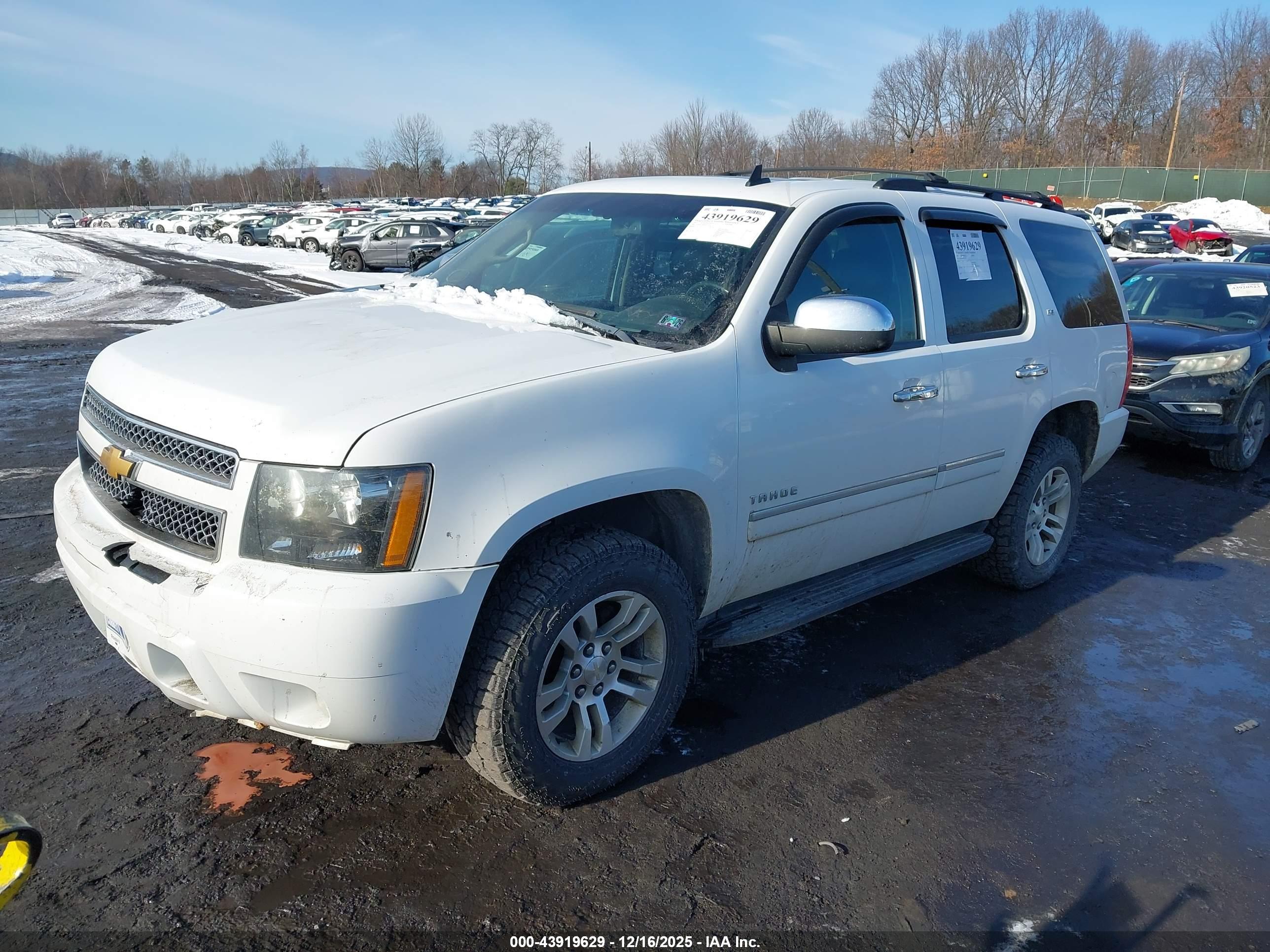 CHEVROLET TAHOE image 2