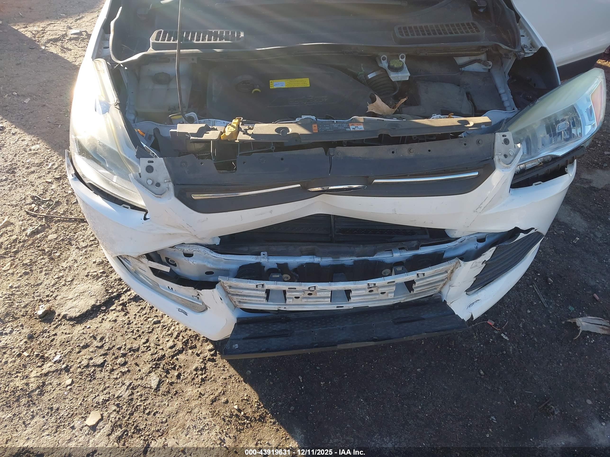 FORD ESCAPE image 10