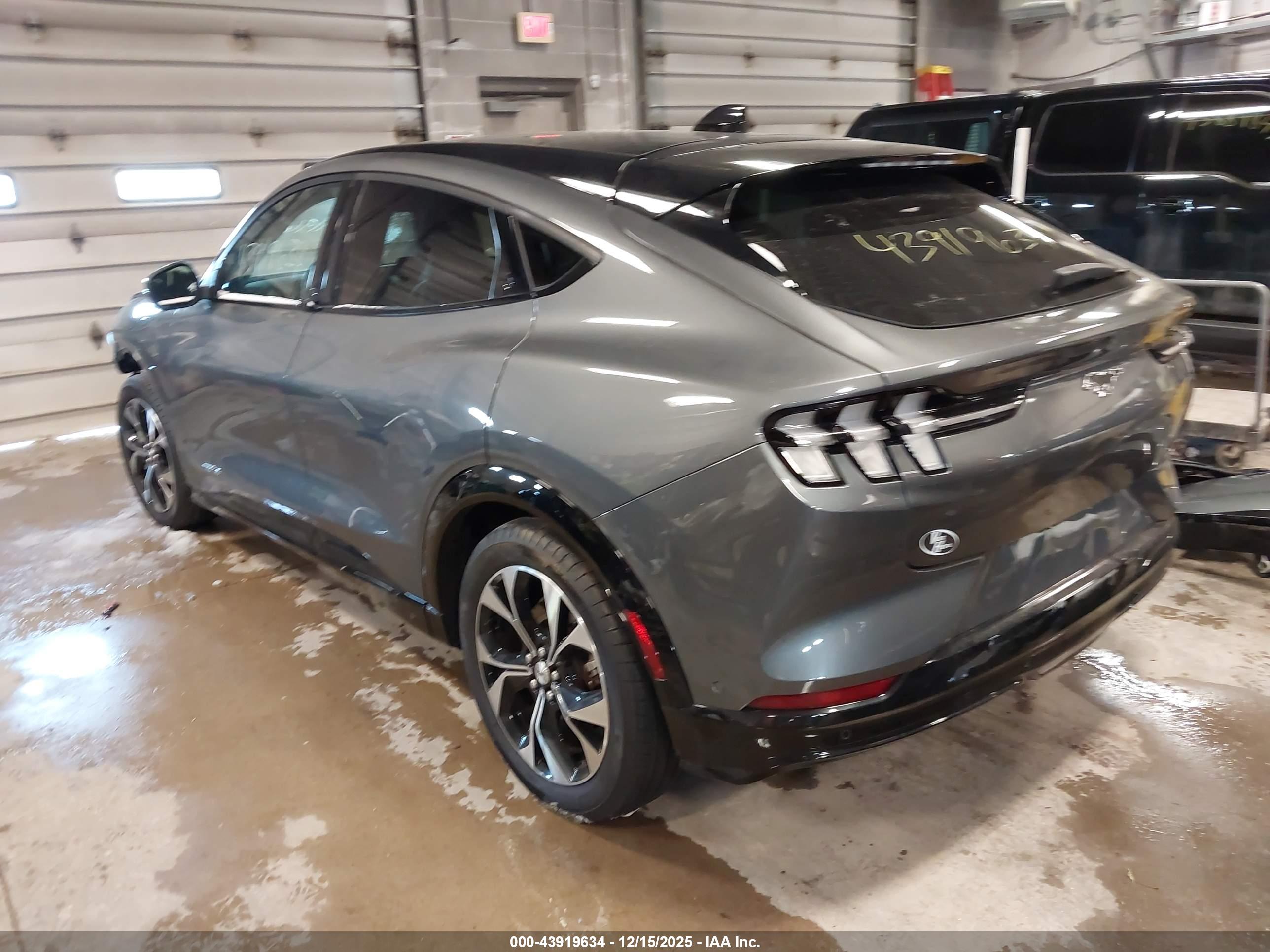FORD MUSTANG image 3