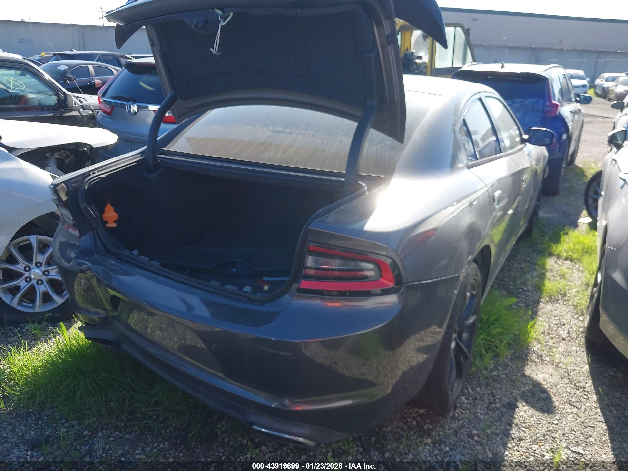 DODGE CHARGER image 4