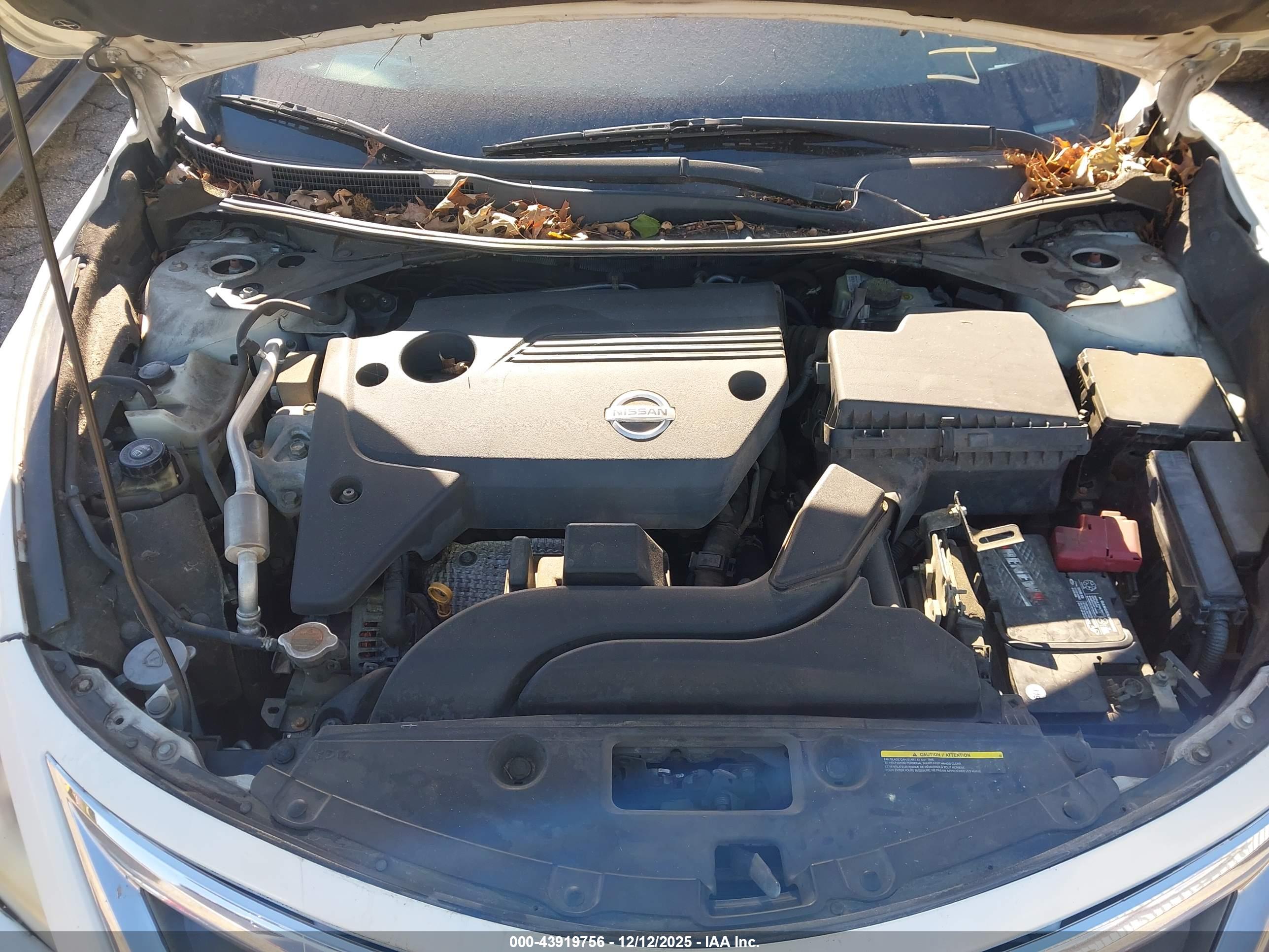 NISSAN ALTIMA image 10