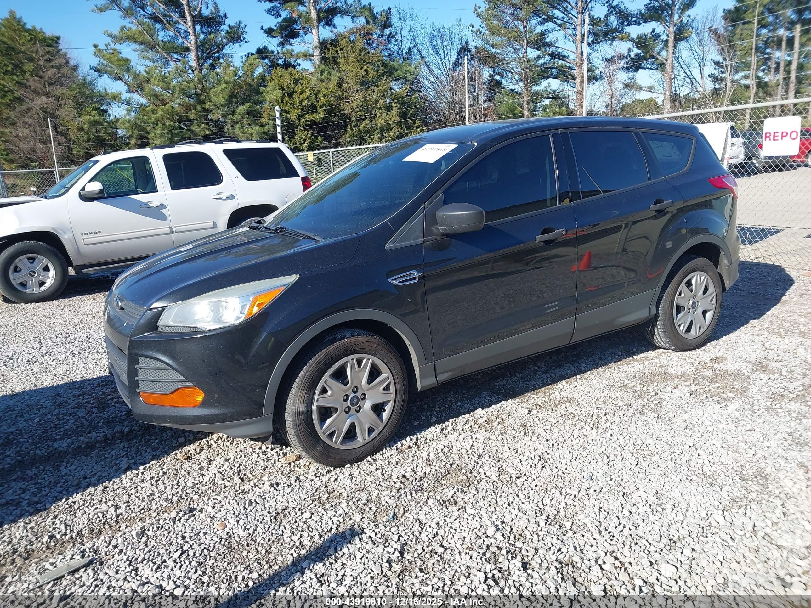 FORD ESCAPE image 2