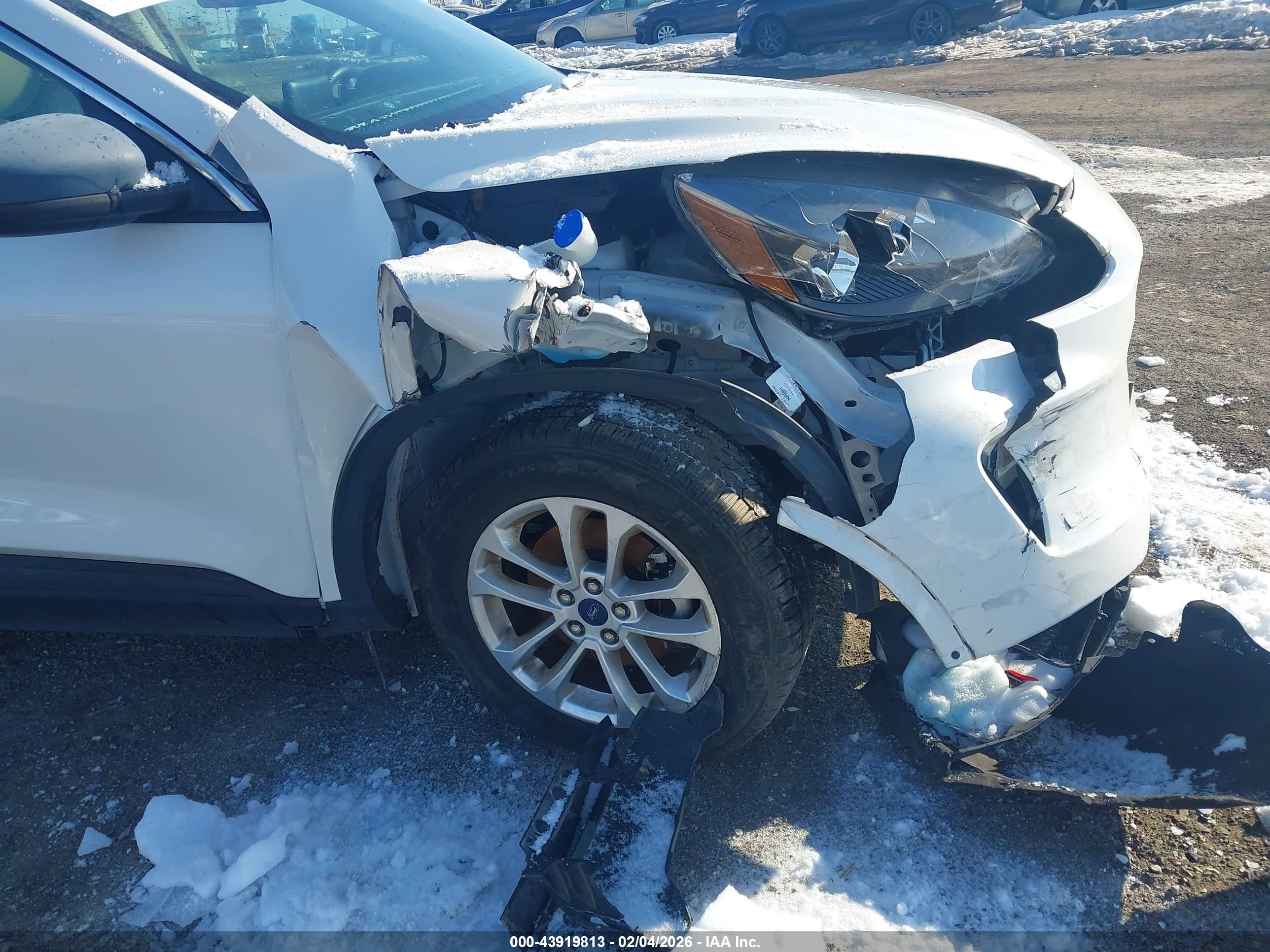 FORD ESCAPE image 6
