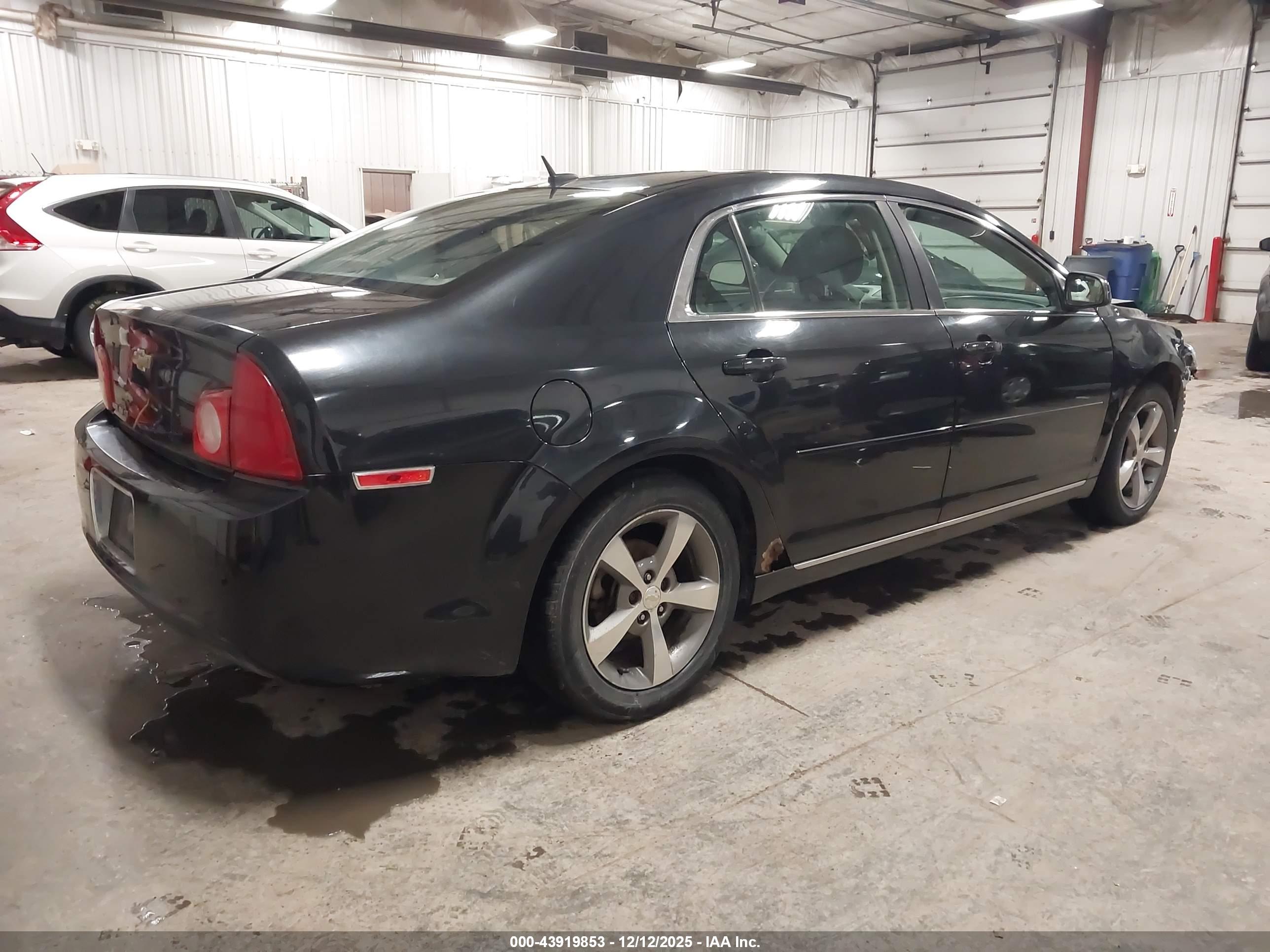 CHEVROLET MALIBU image 4