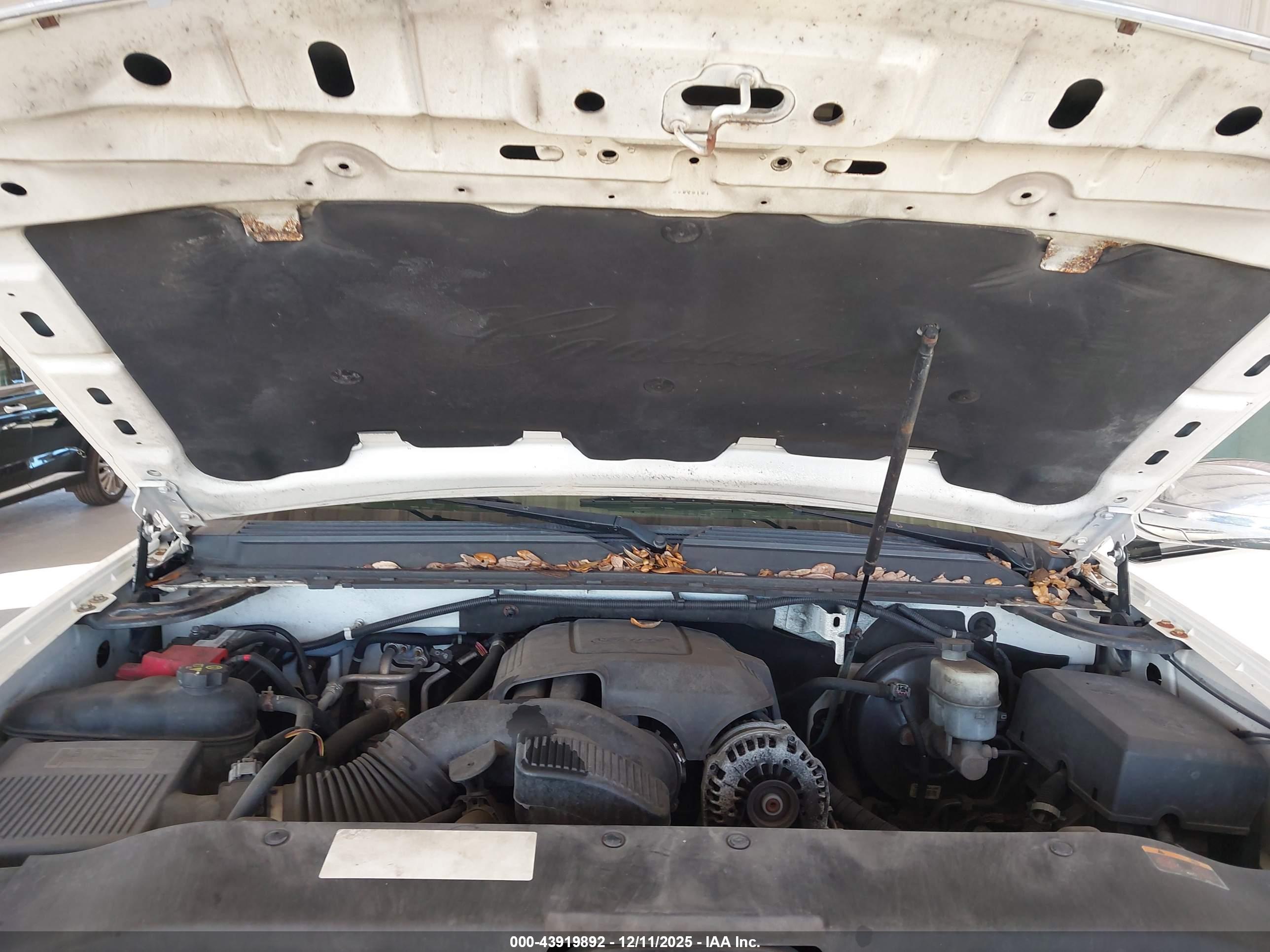 CADILLAC ESCALADE image 10