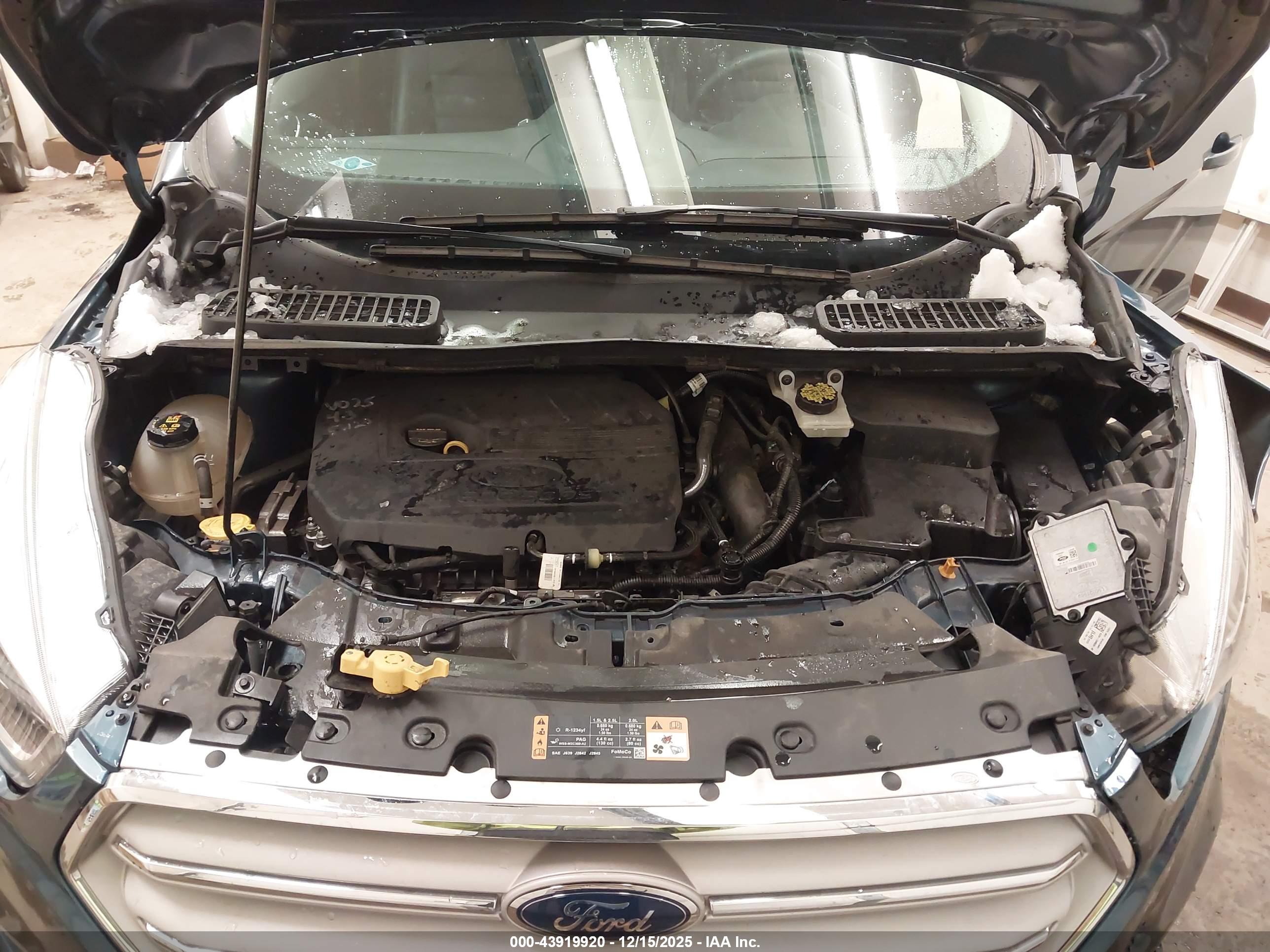 FORD ESCAPE image 10