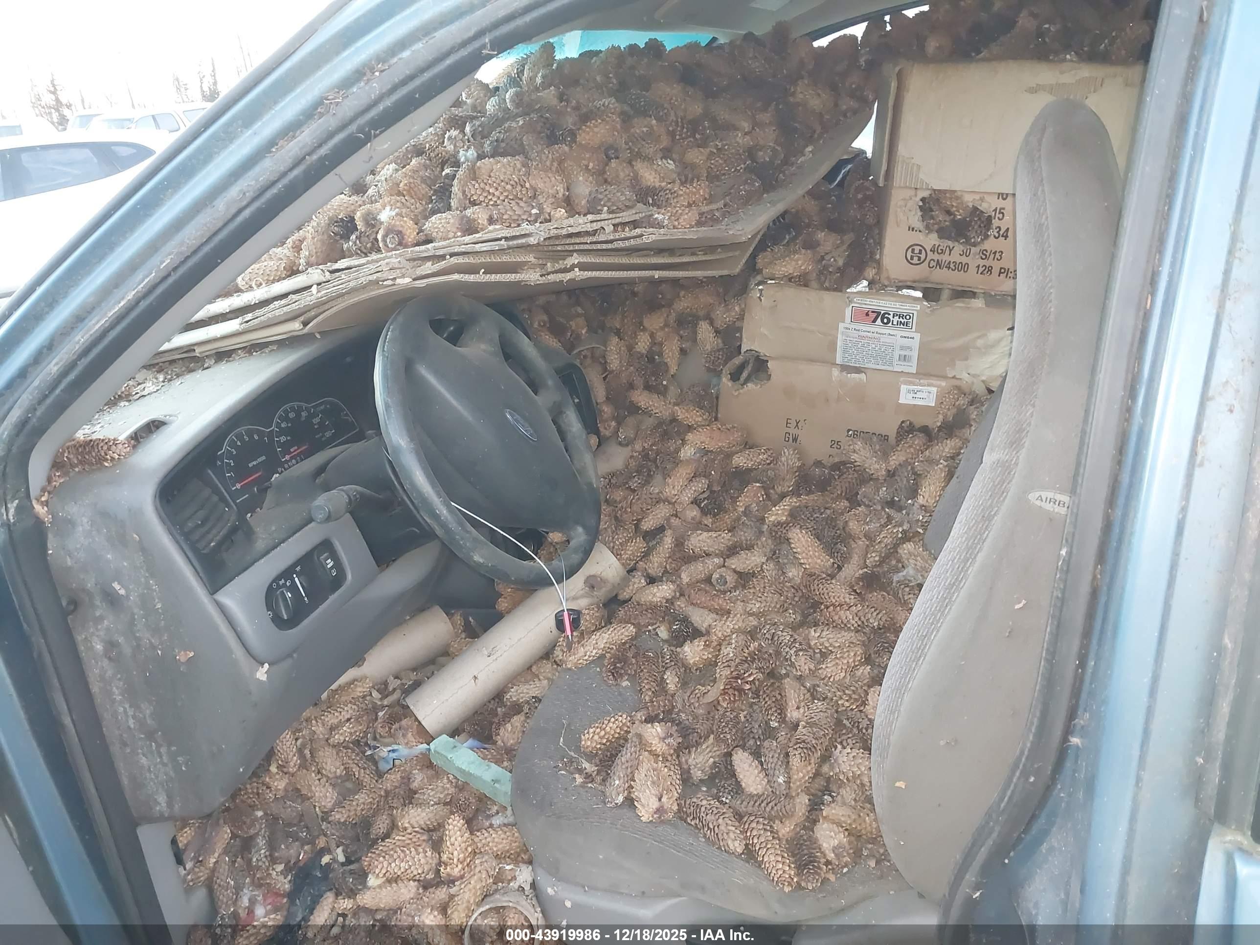 FORD WINDSTAR image 6