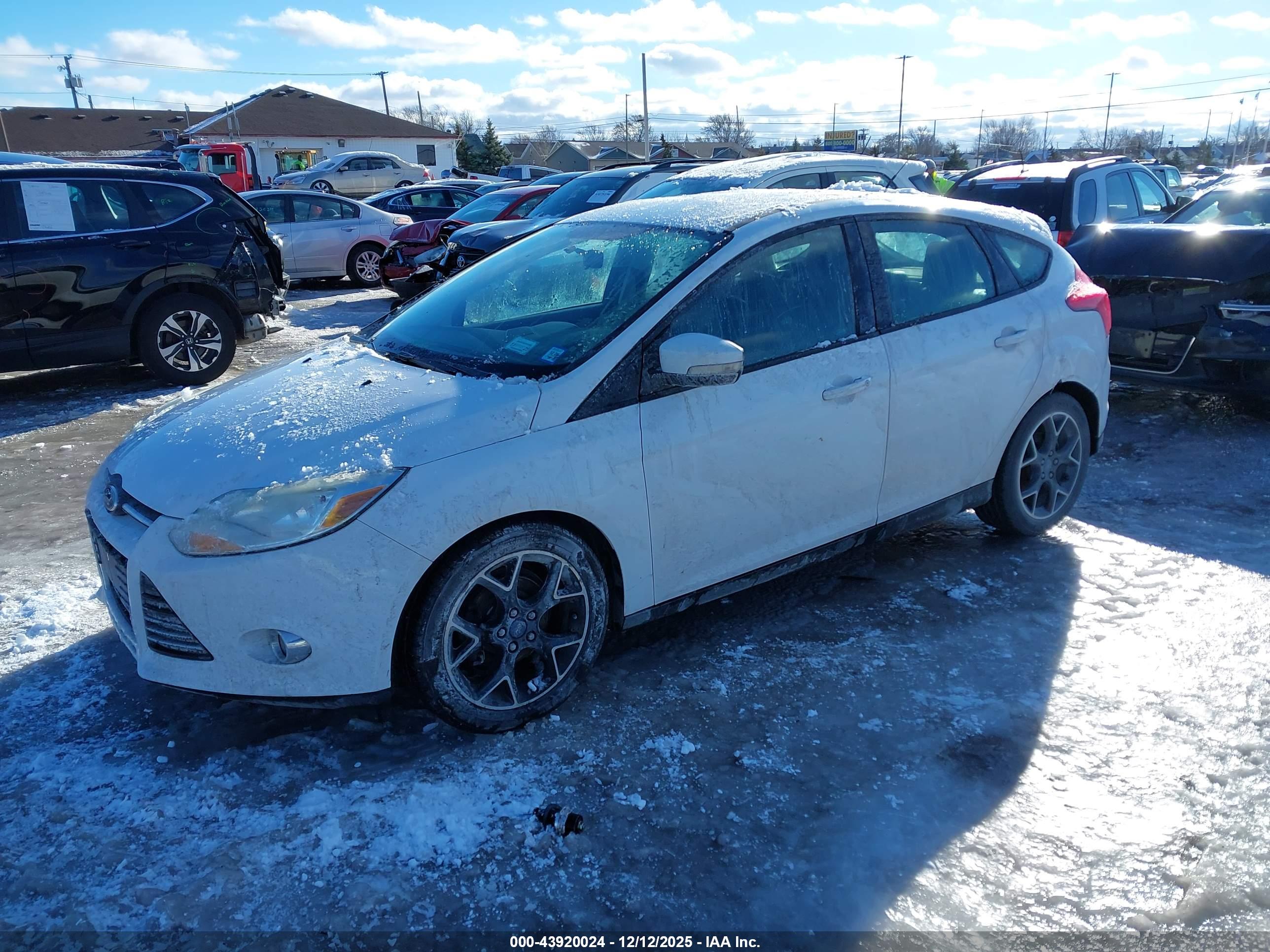 FORD FOCUS image 2