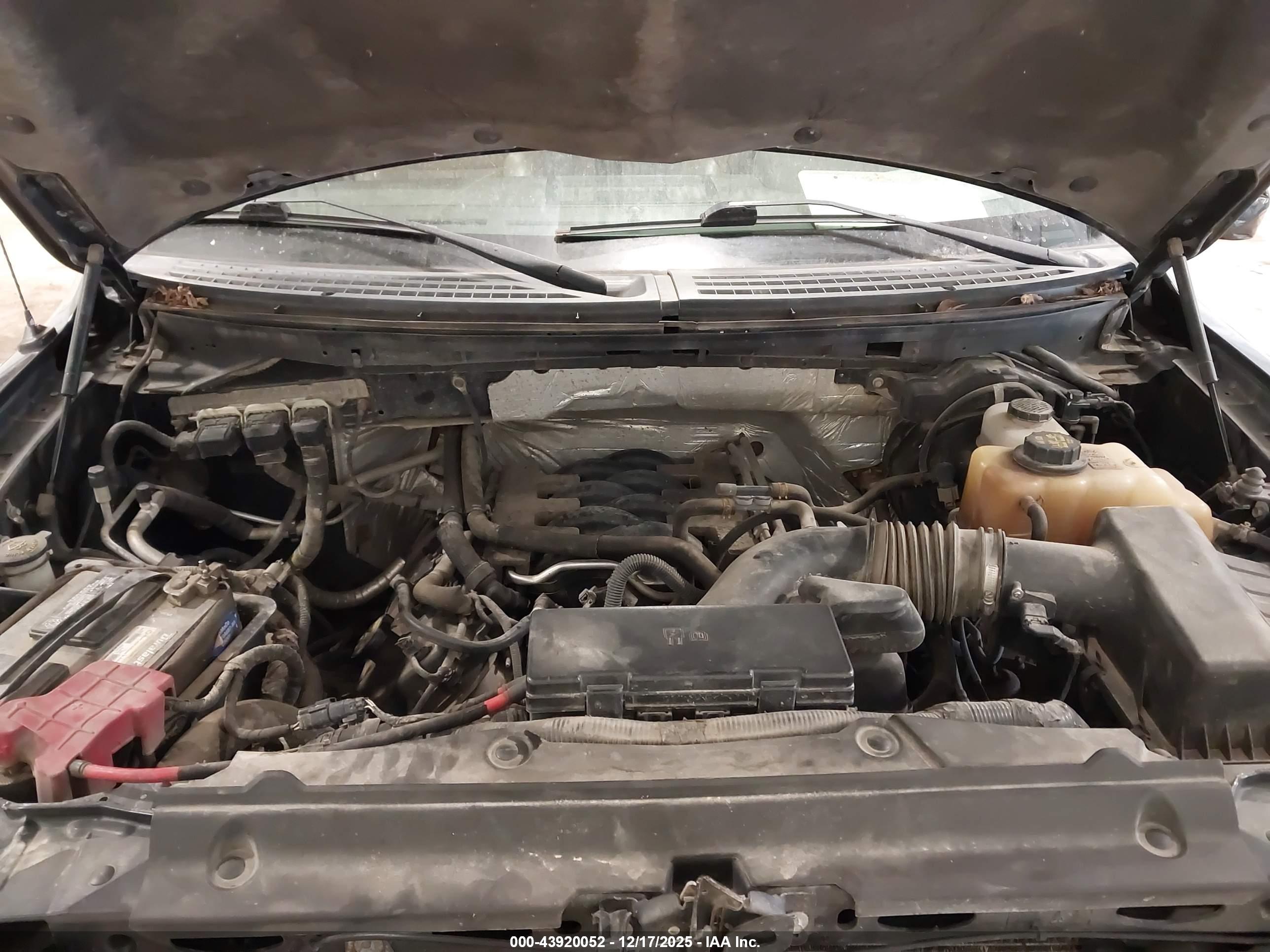 FORD F-150 image 10