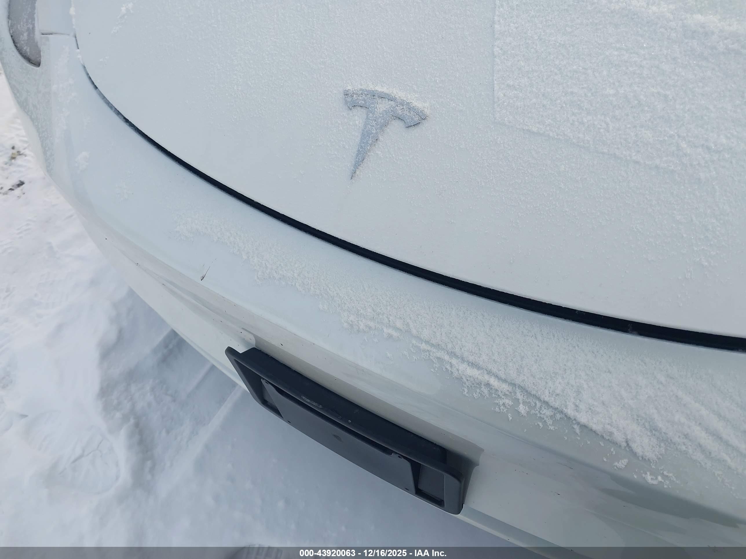 TESLA MODEL image 10