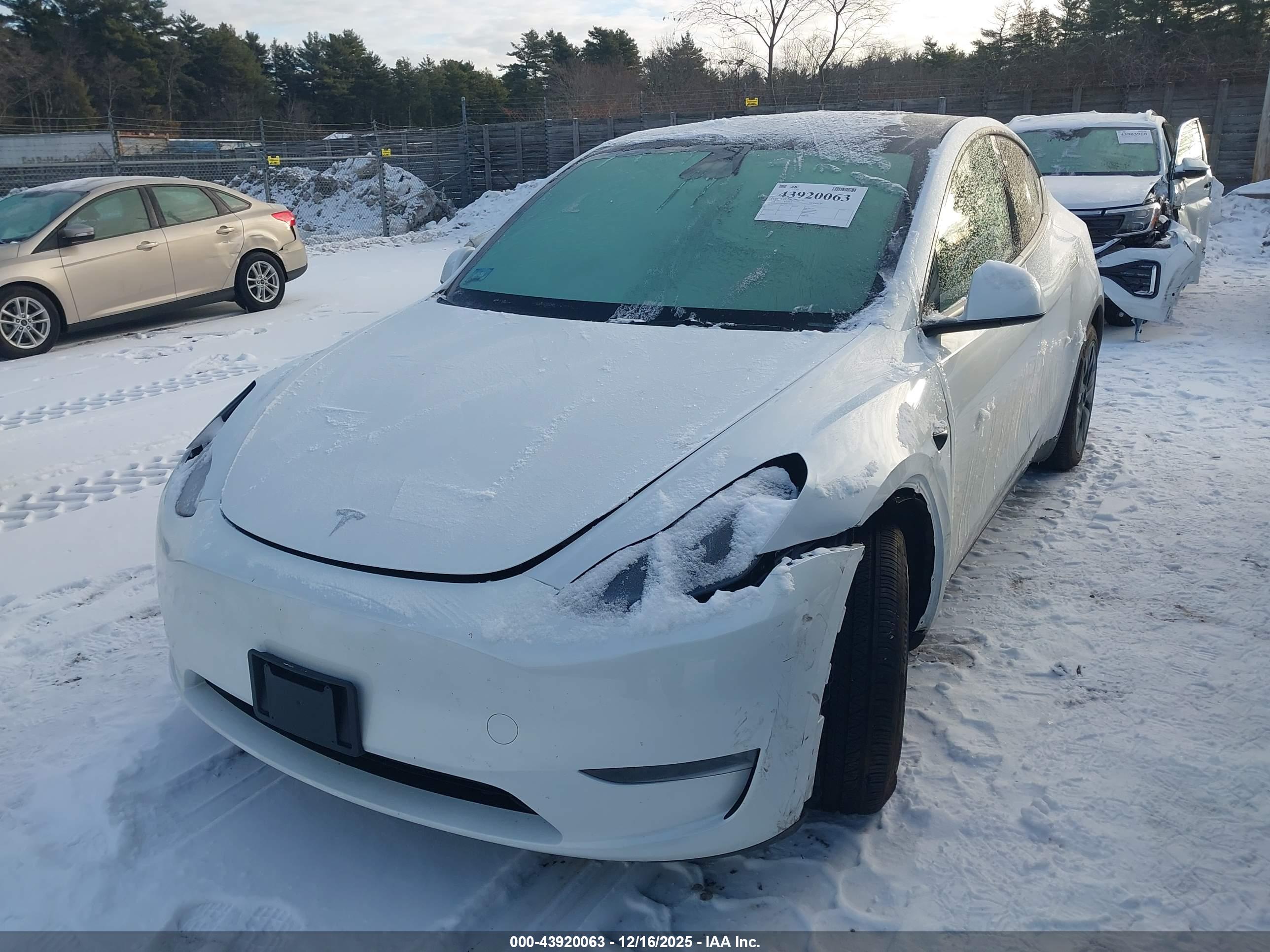 TESLA MODEL image 2