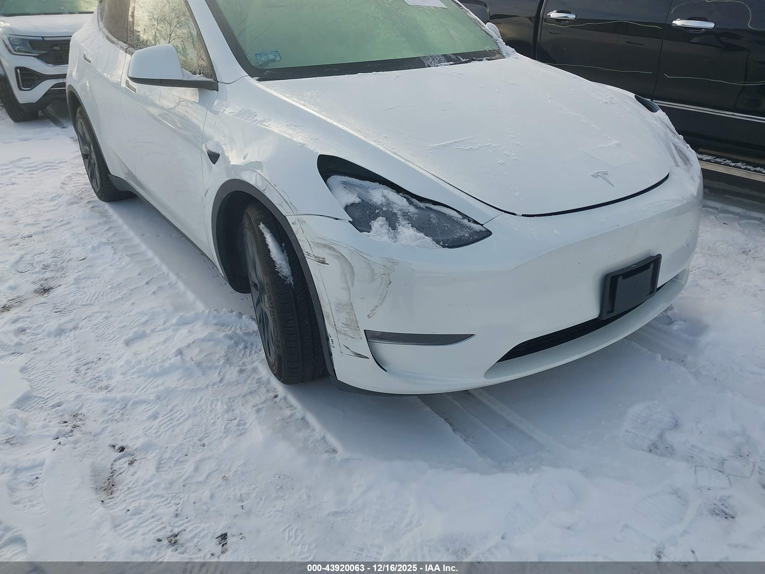 TESLA MODEL image 6