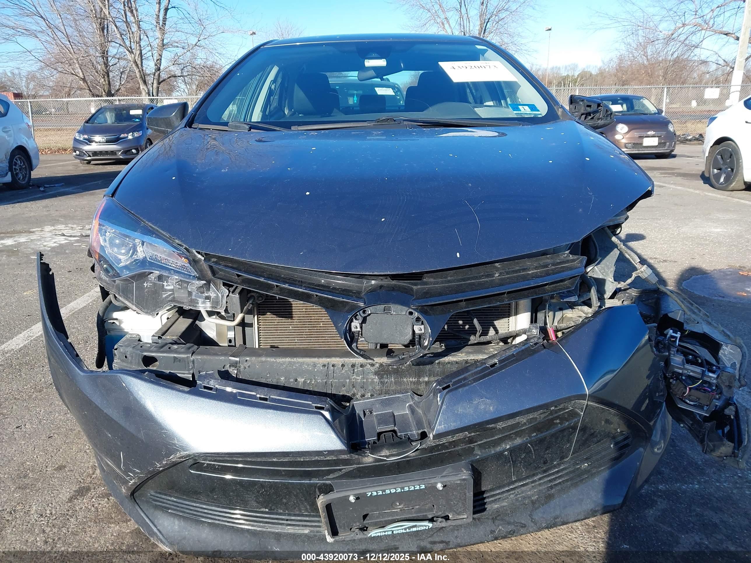 TOYOTA COROLLA image 6