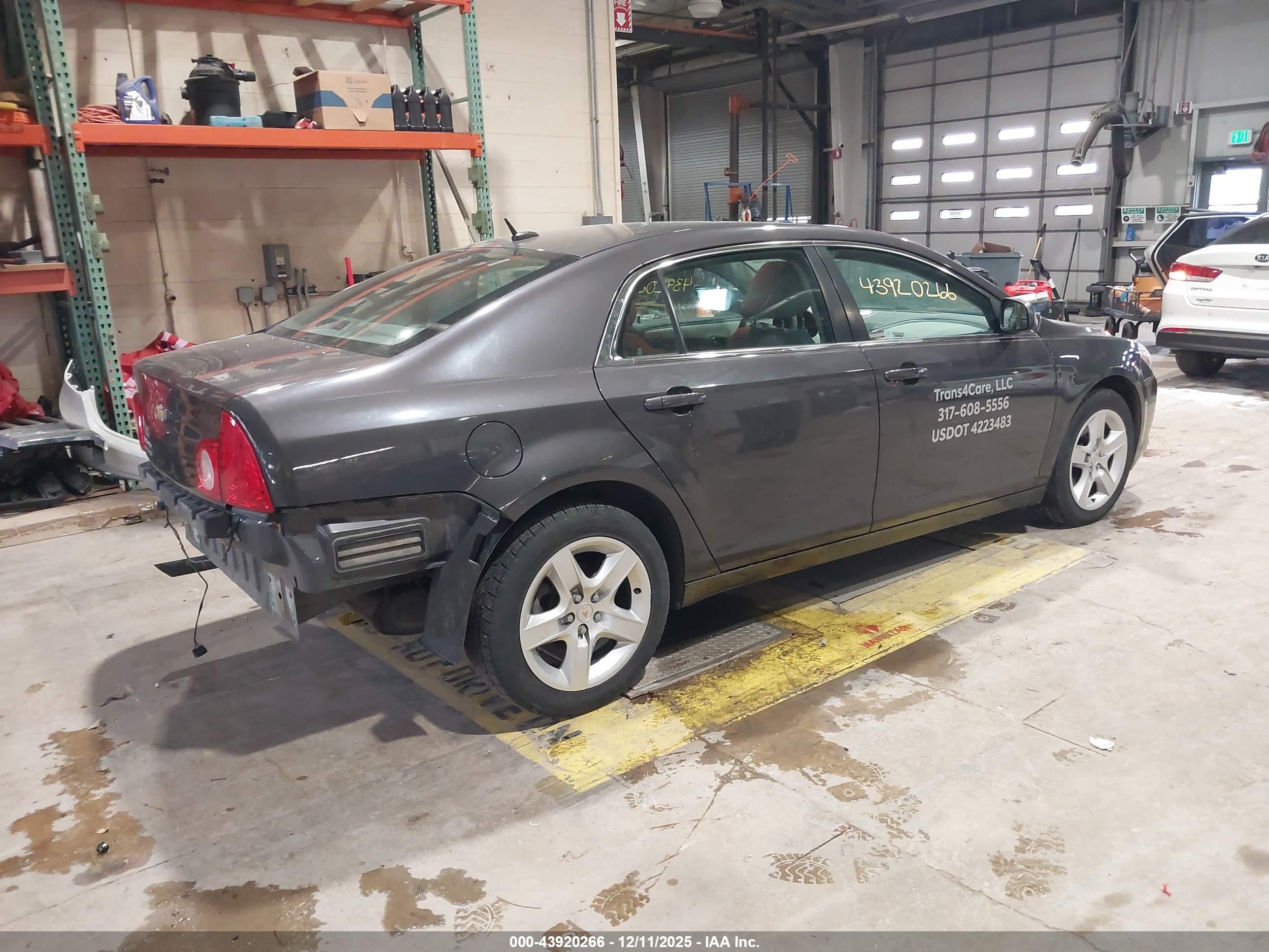 CHEVROLET MALIBU image 4