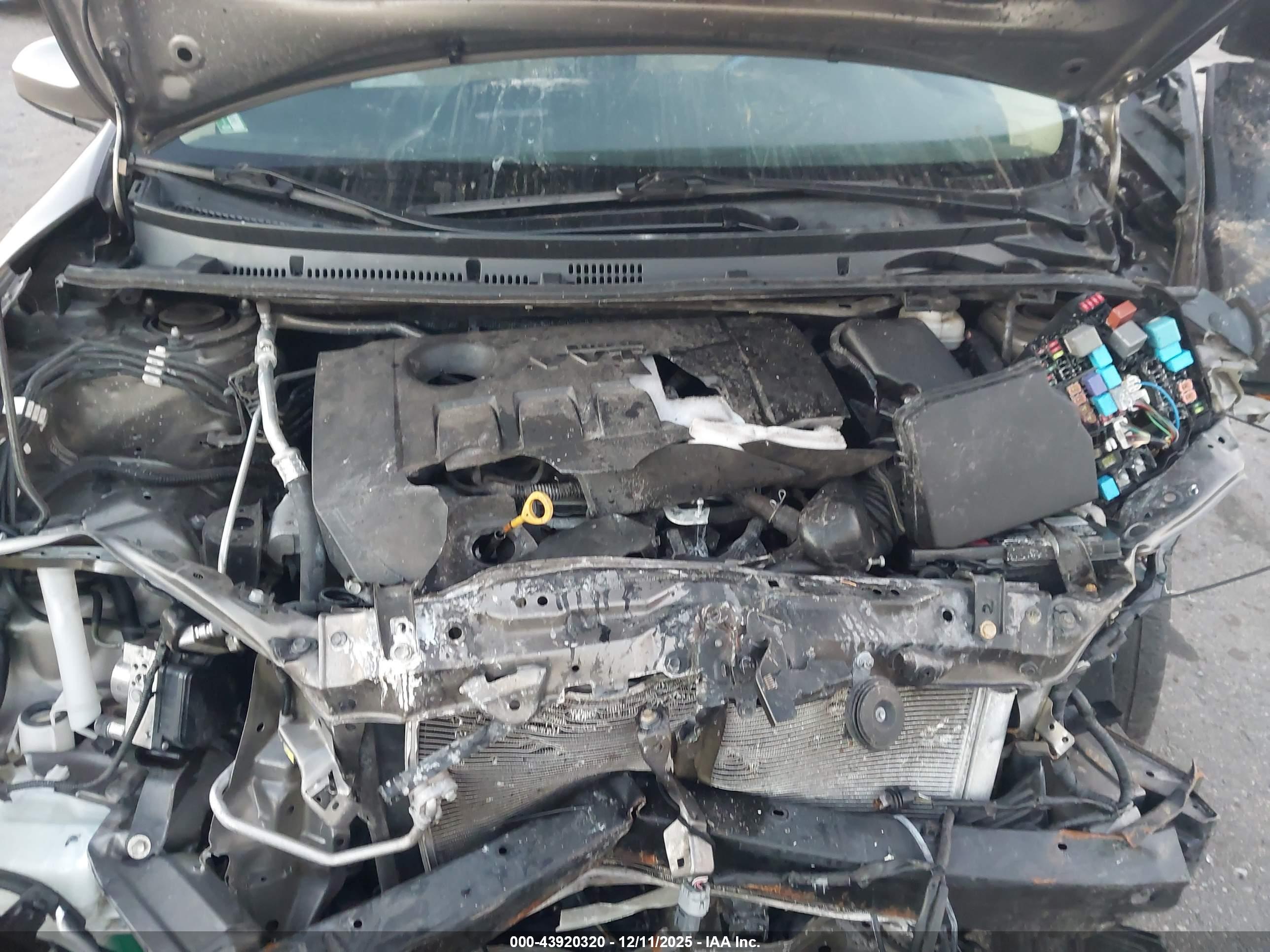 TOYOTA COROLLA image 10
