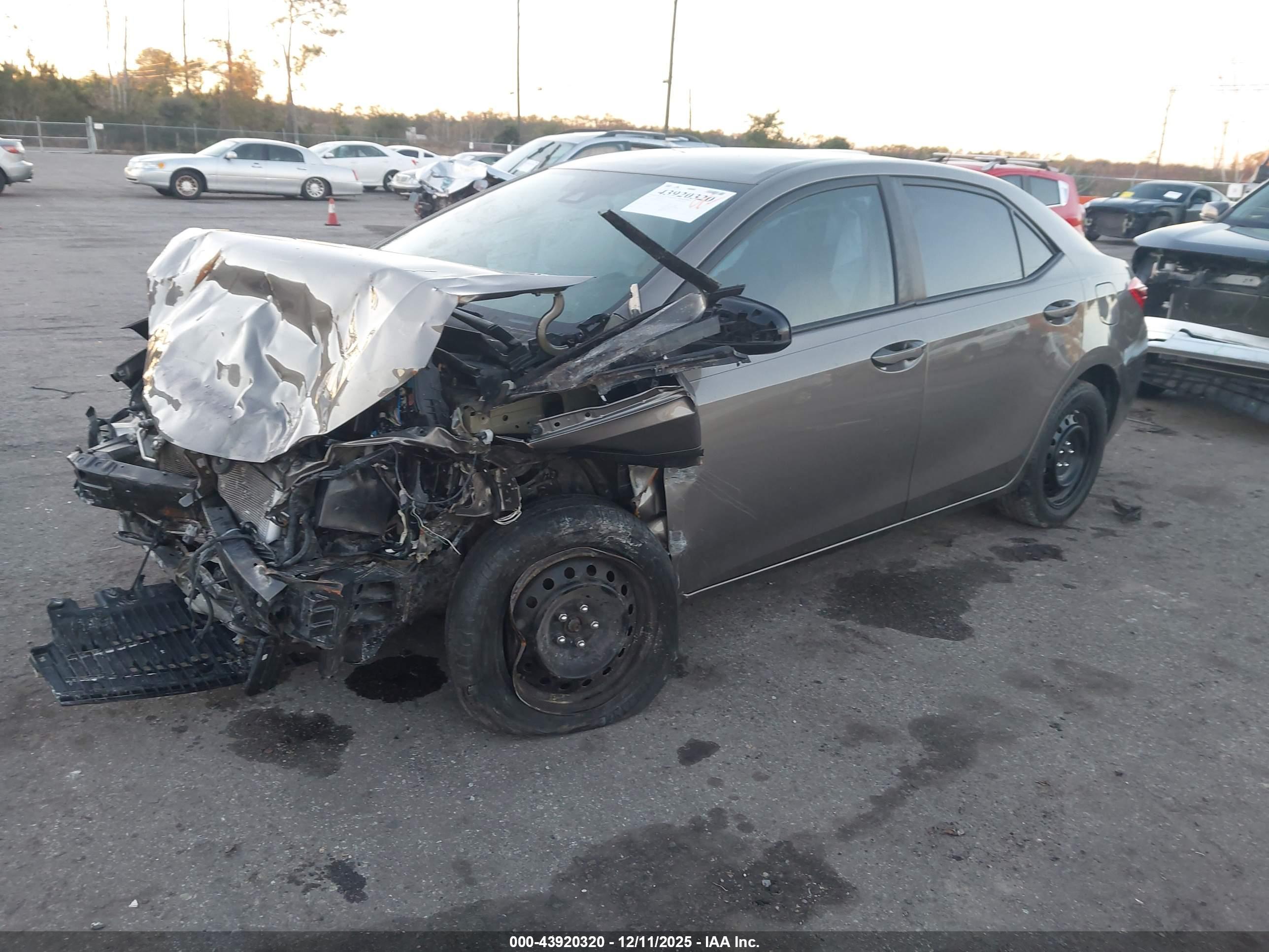 TOYOTA COROLLA image 2