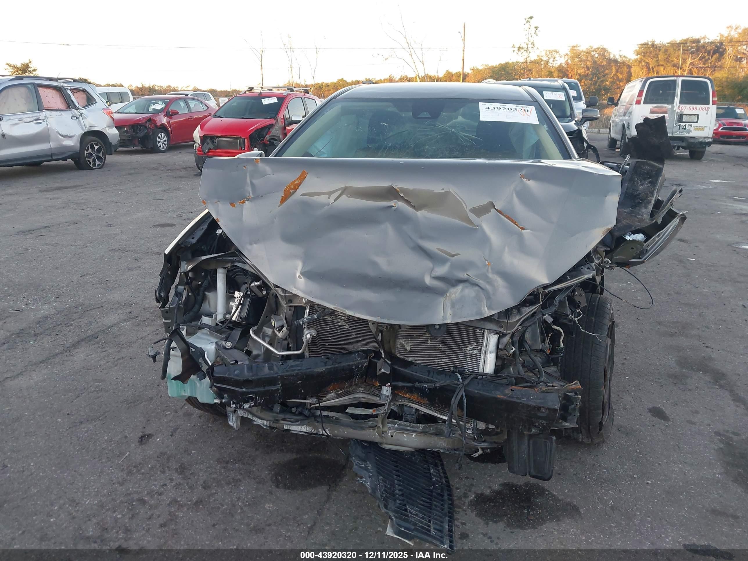 TOYOTA COROLLA image 6