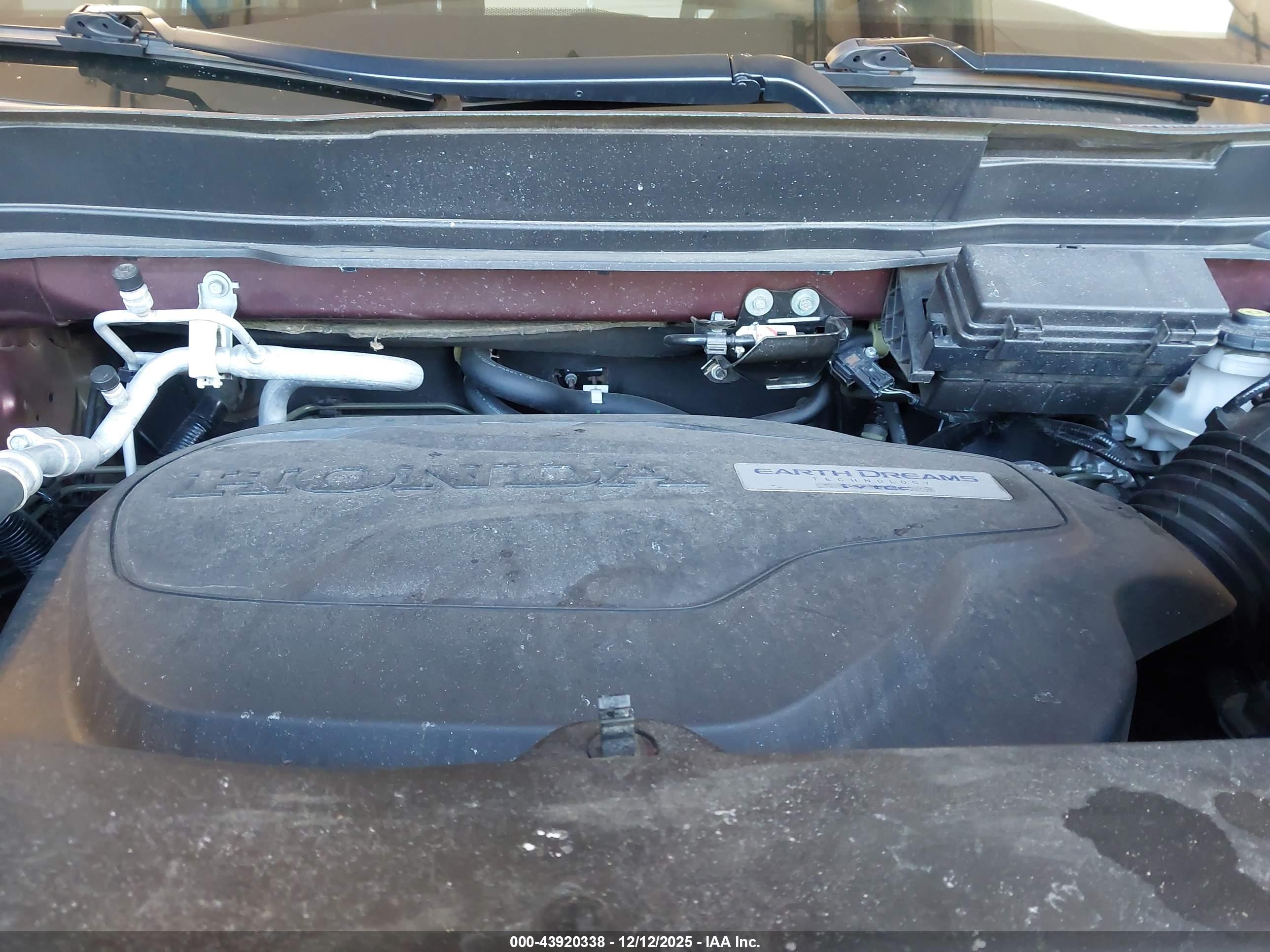 HONDA PASSPORT image 10