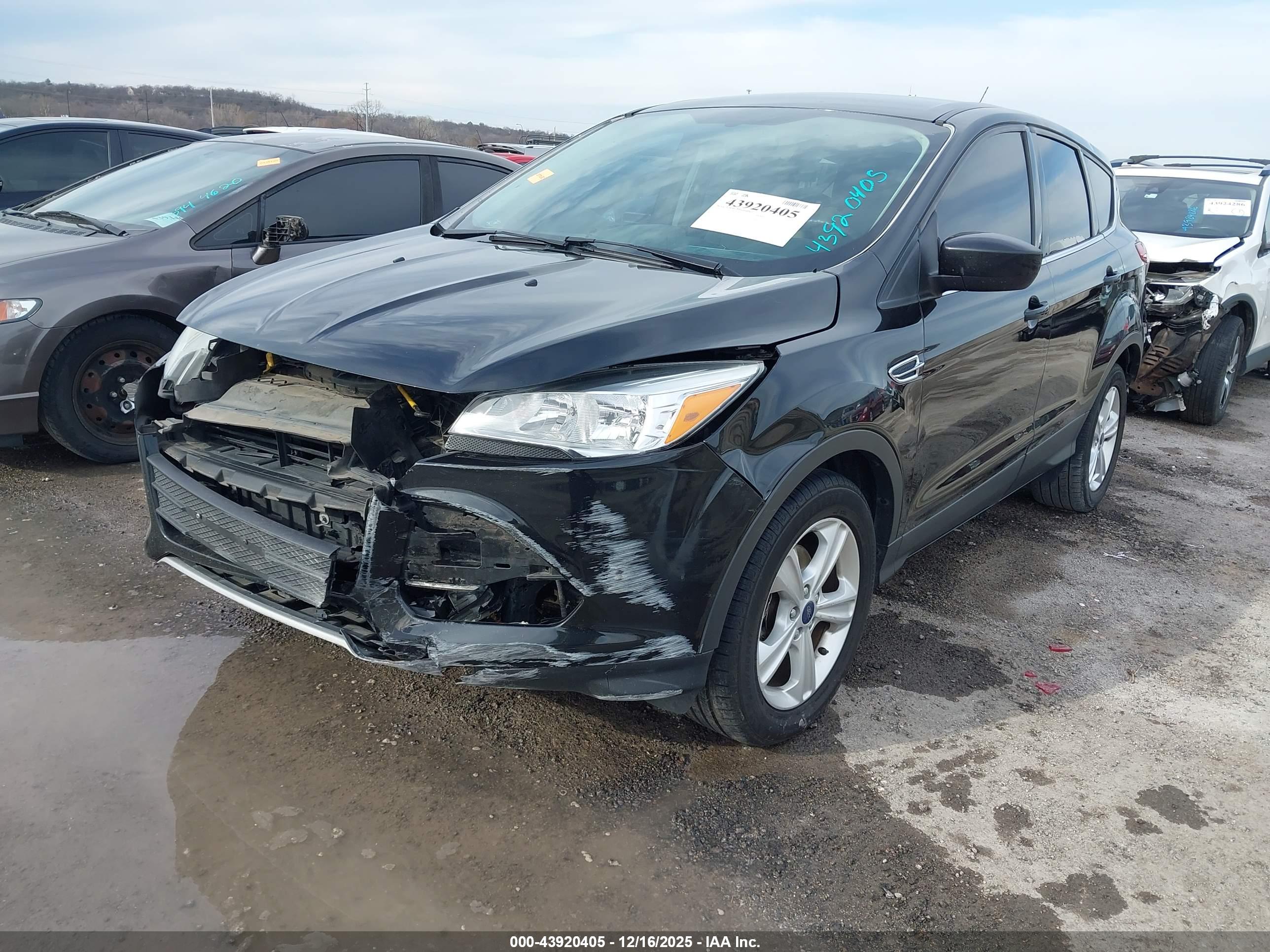 FORD ESCAPE image 2