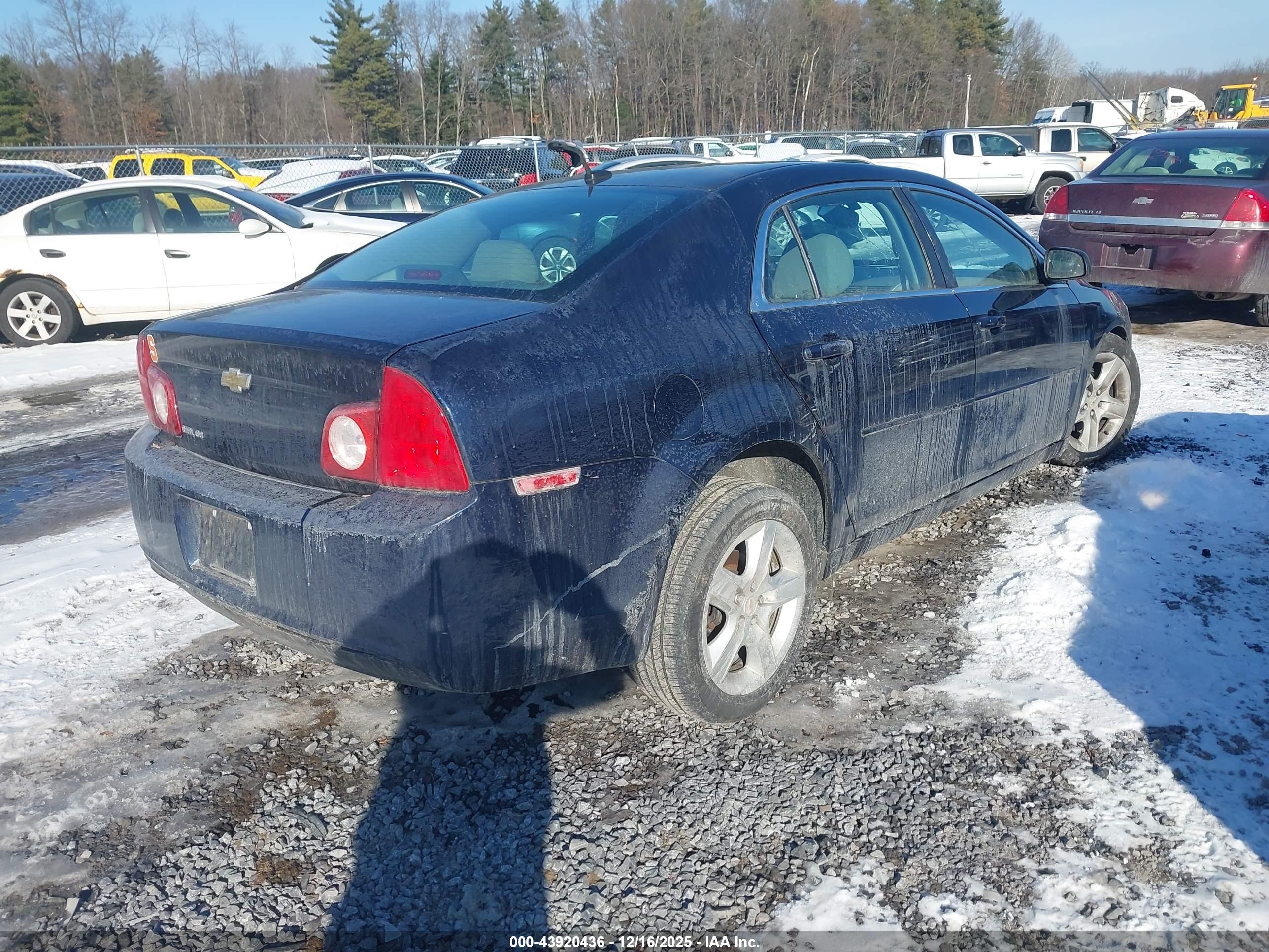 CHEVROLET MALIBU image 4