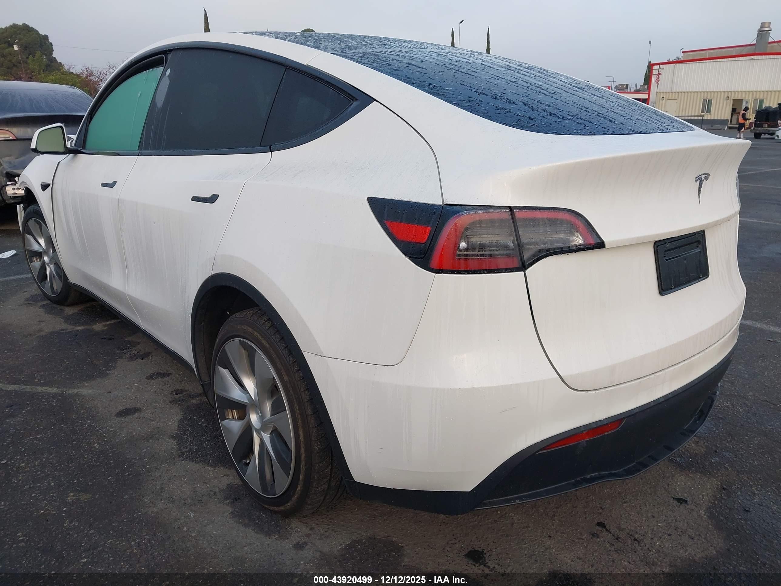 TESLA MODEL image 3