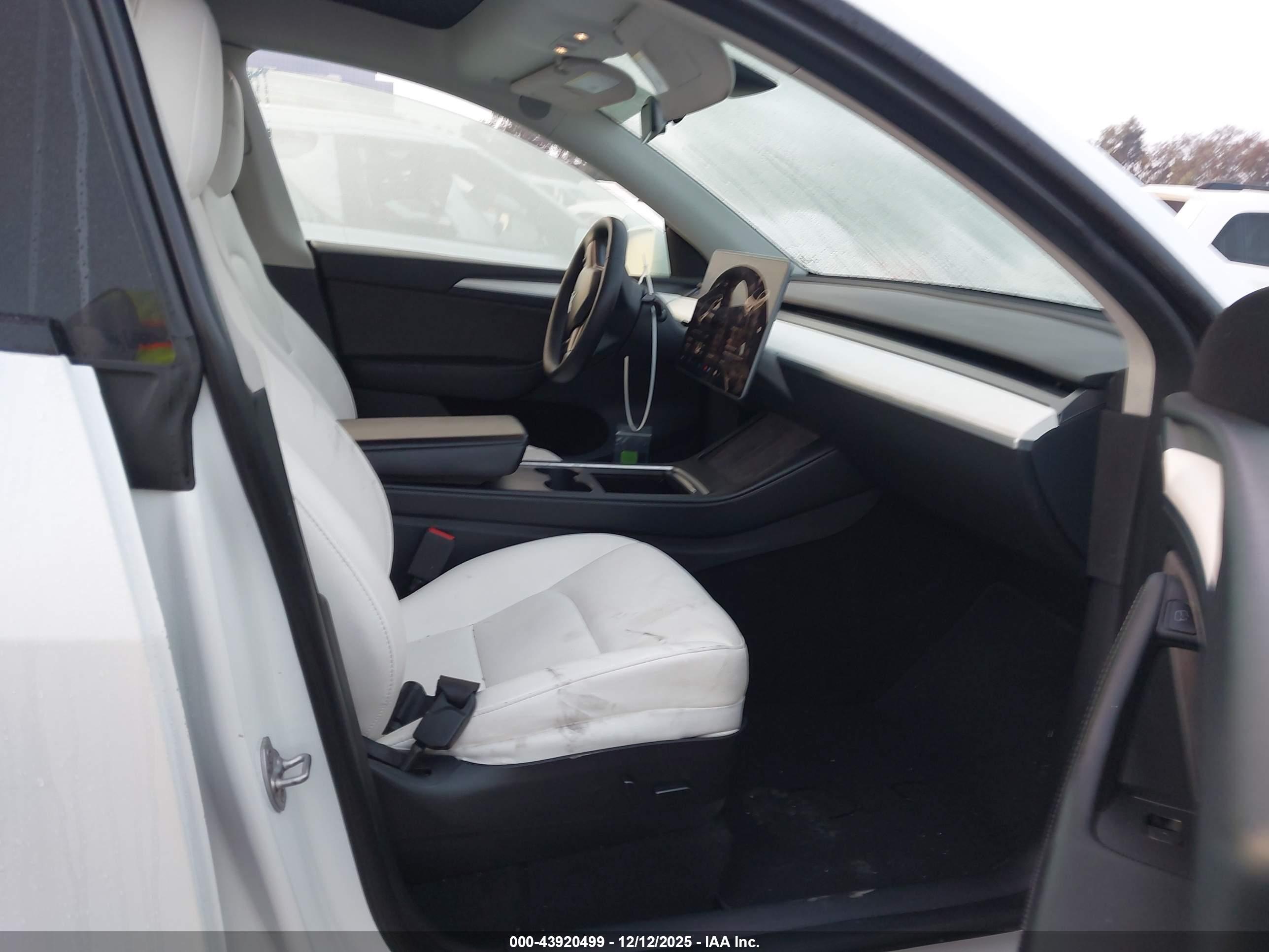 TESLA MODEL image 5