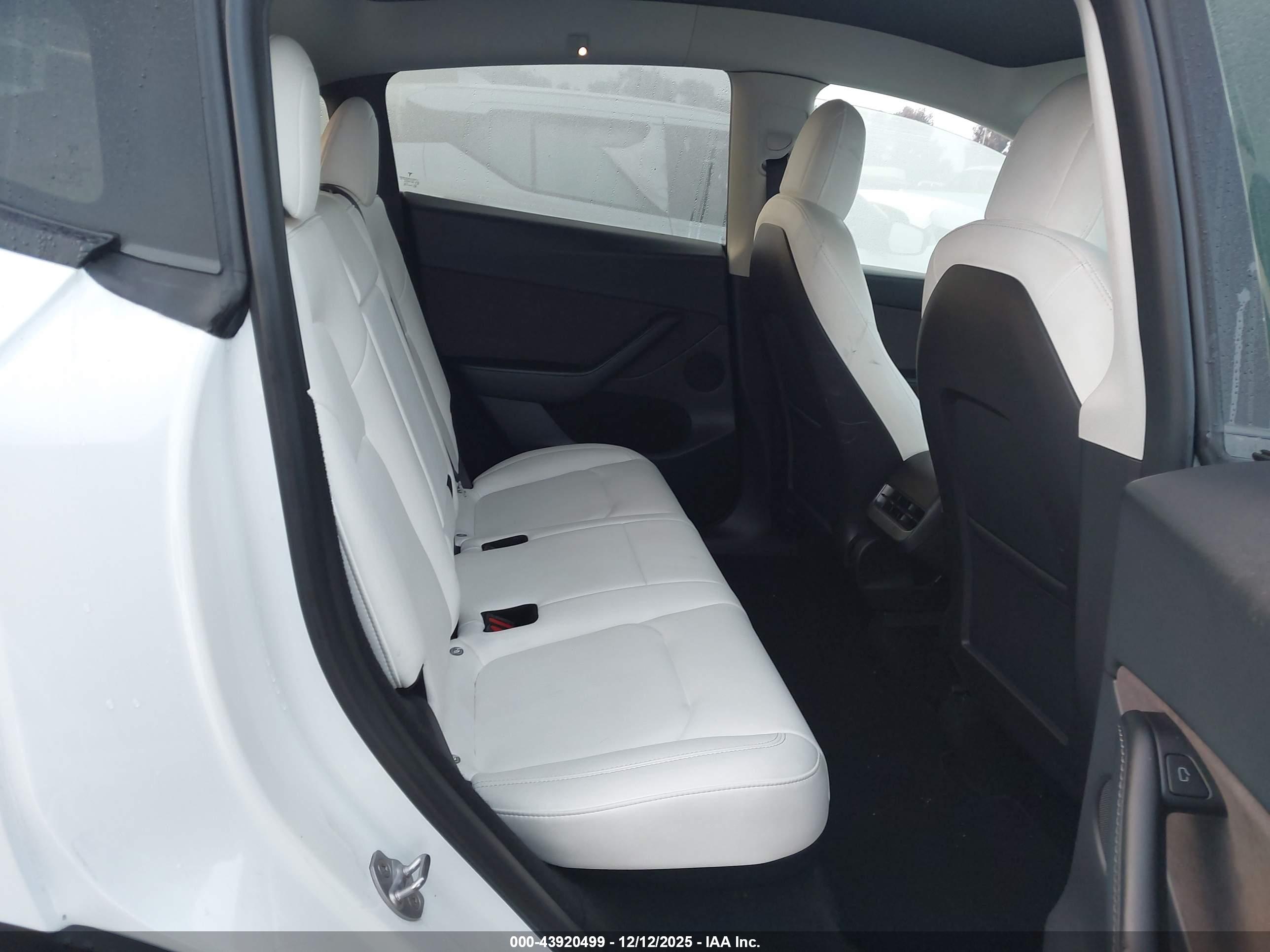 TESLA MODEL image 8