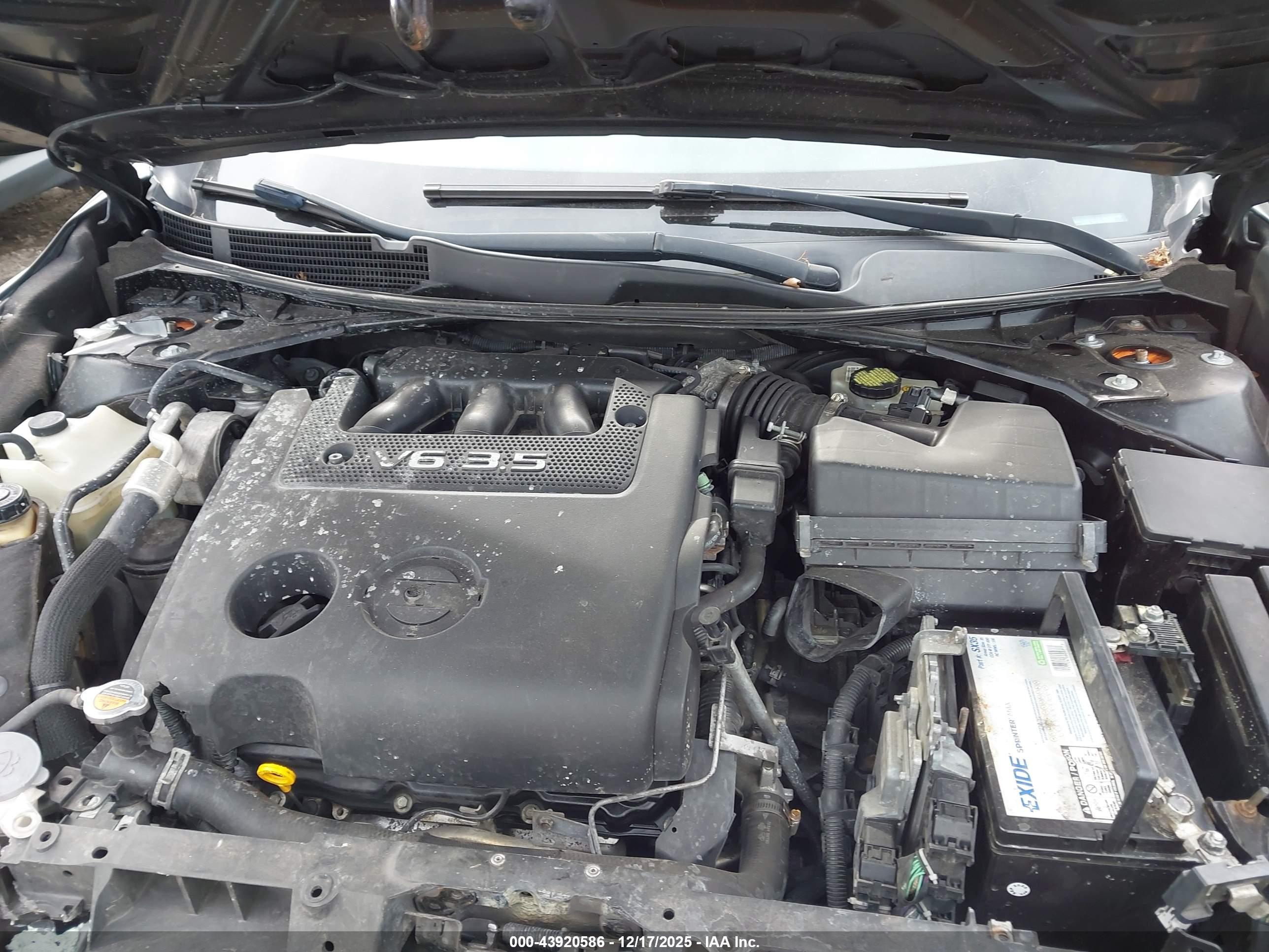 NISSAN ALTIMA image 10