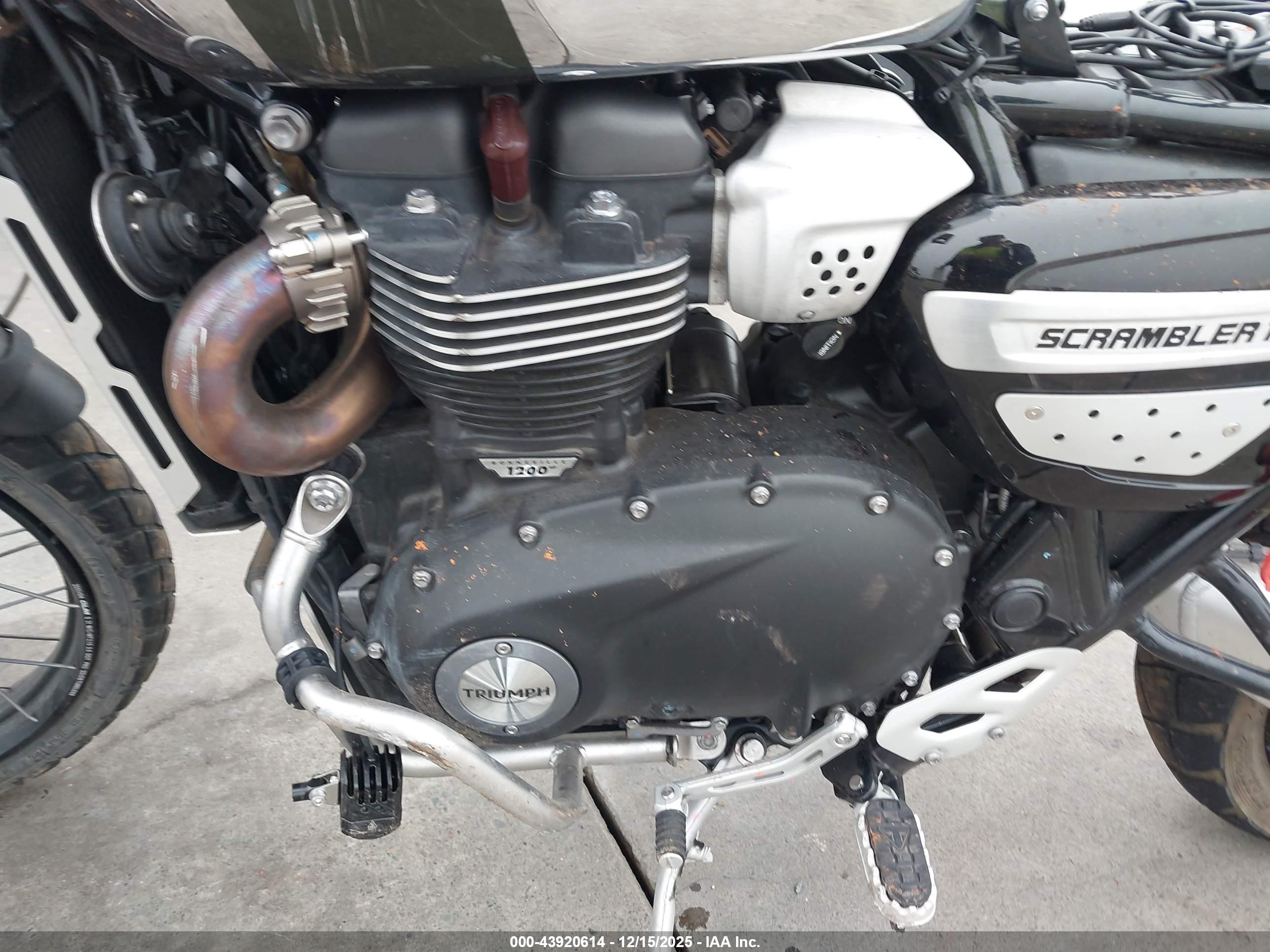 TRIUMPH MOTORCYCLE image 9