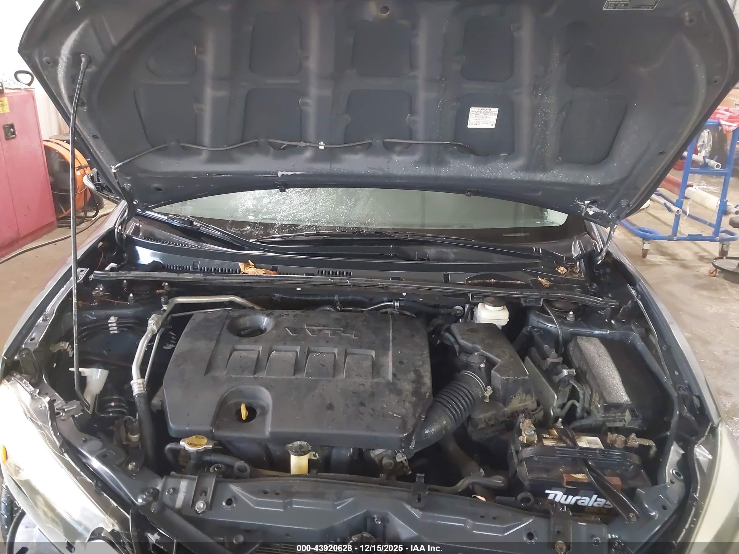 TOYOTA COROLLA image 10