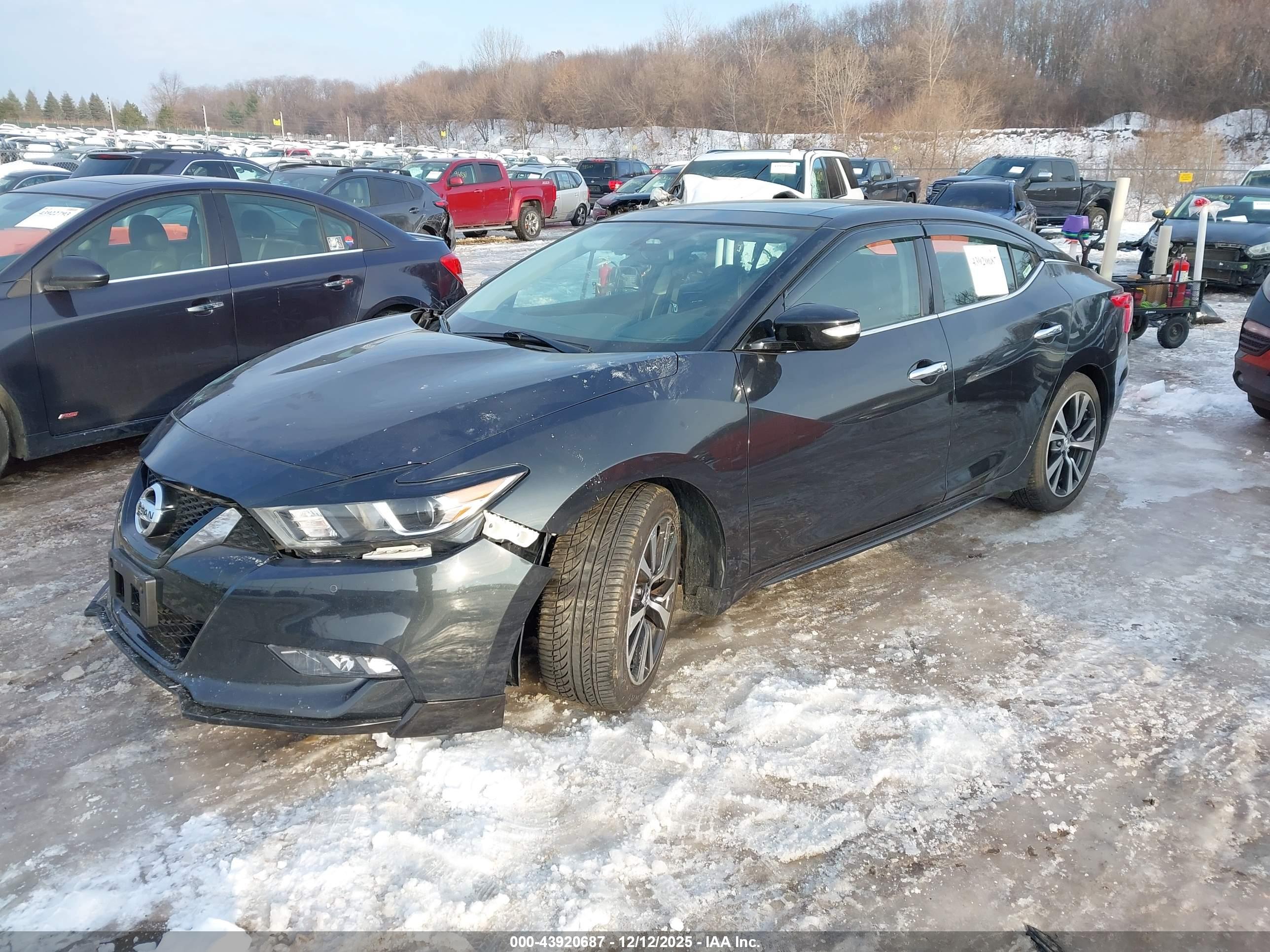 NISSAN MAXIMA image 2