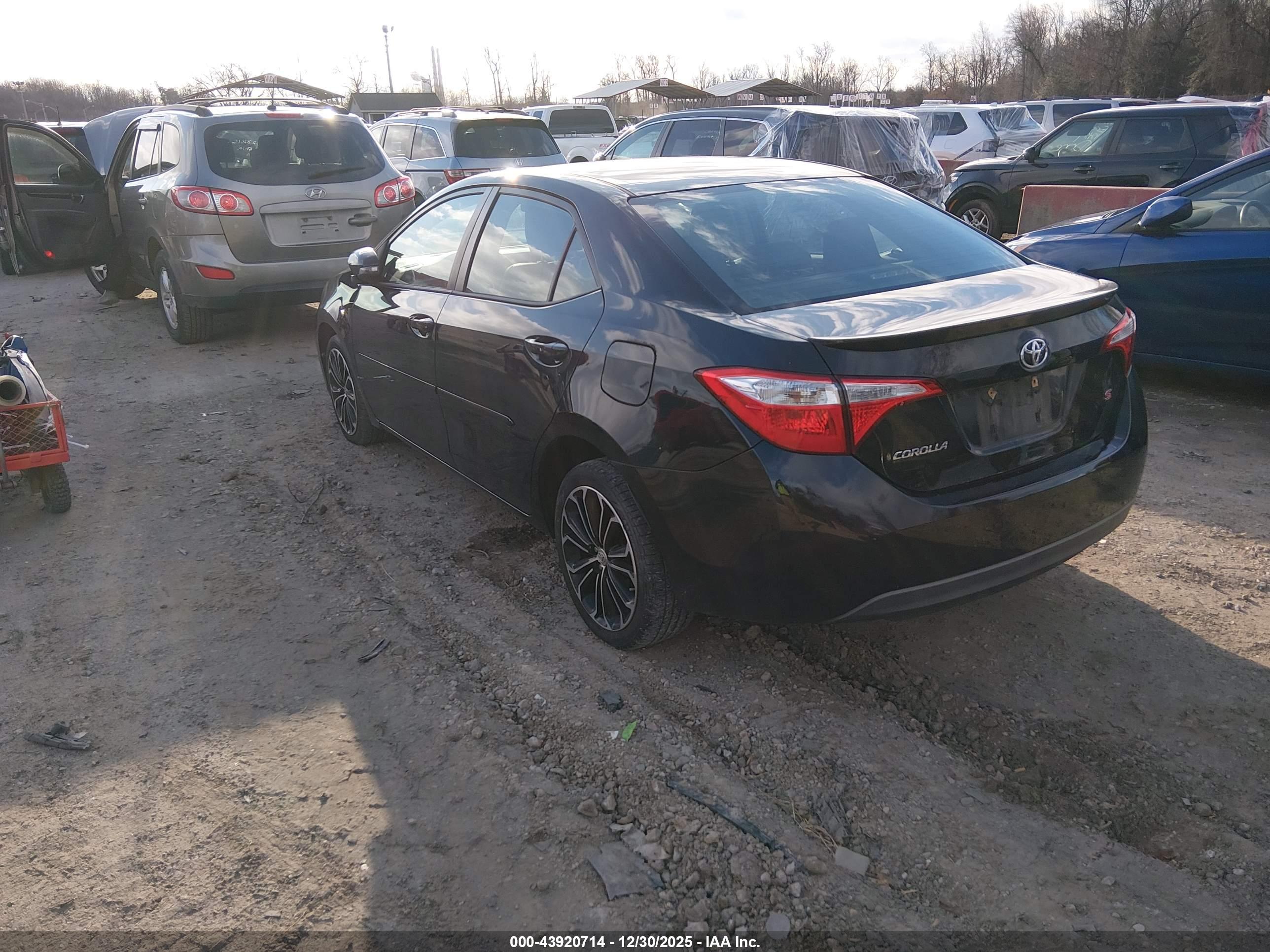 TOYOTA COROLLA image 3