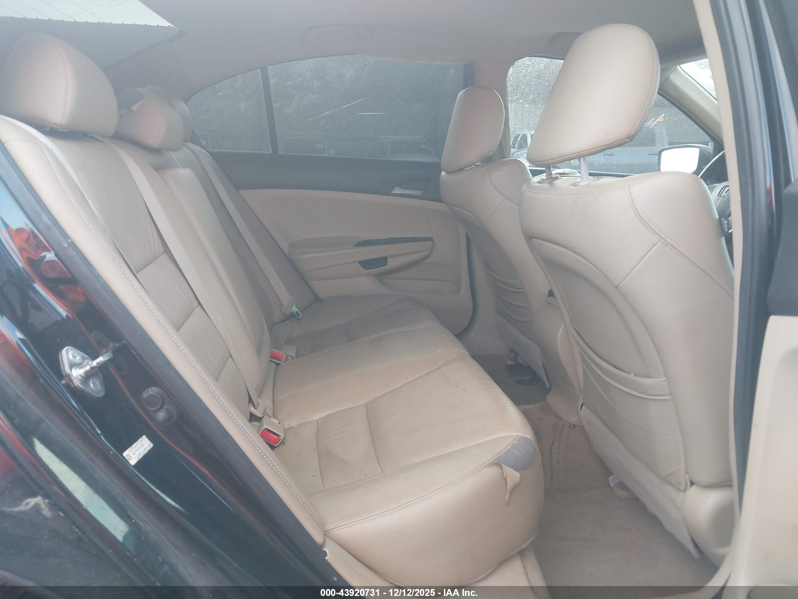 HONDA ACCORD image 8