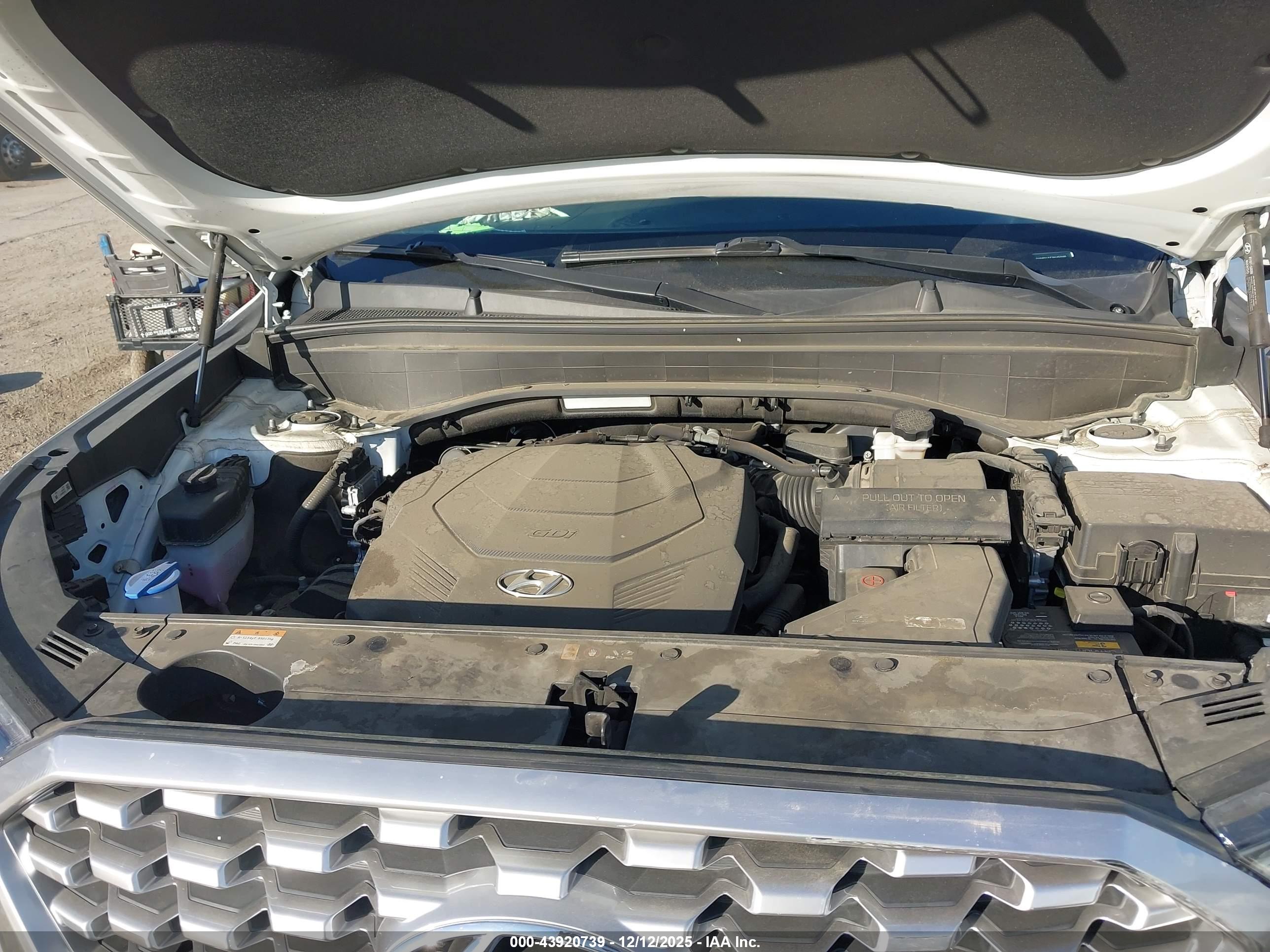 HYUNDAI PALISADE image 10