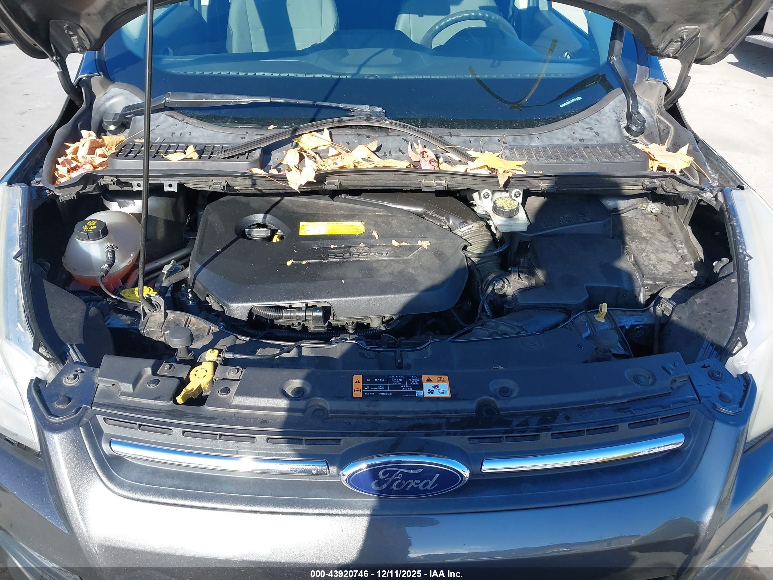 FORD ESCAPE image 10