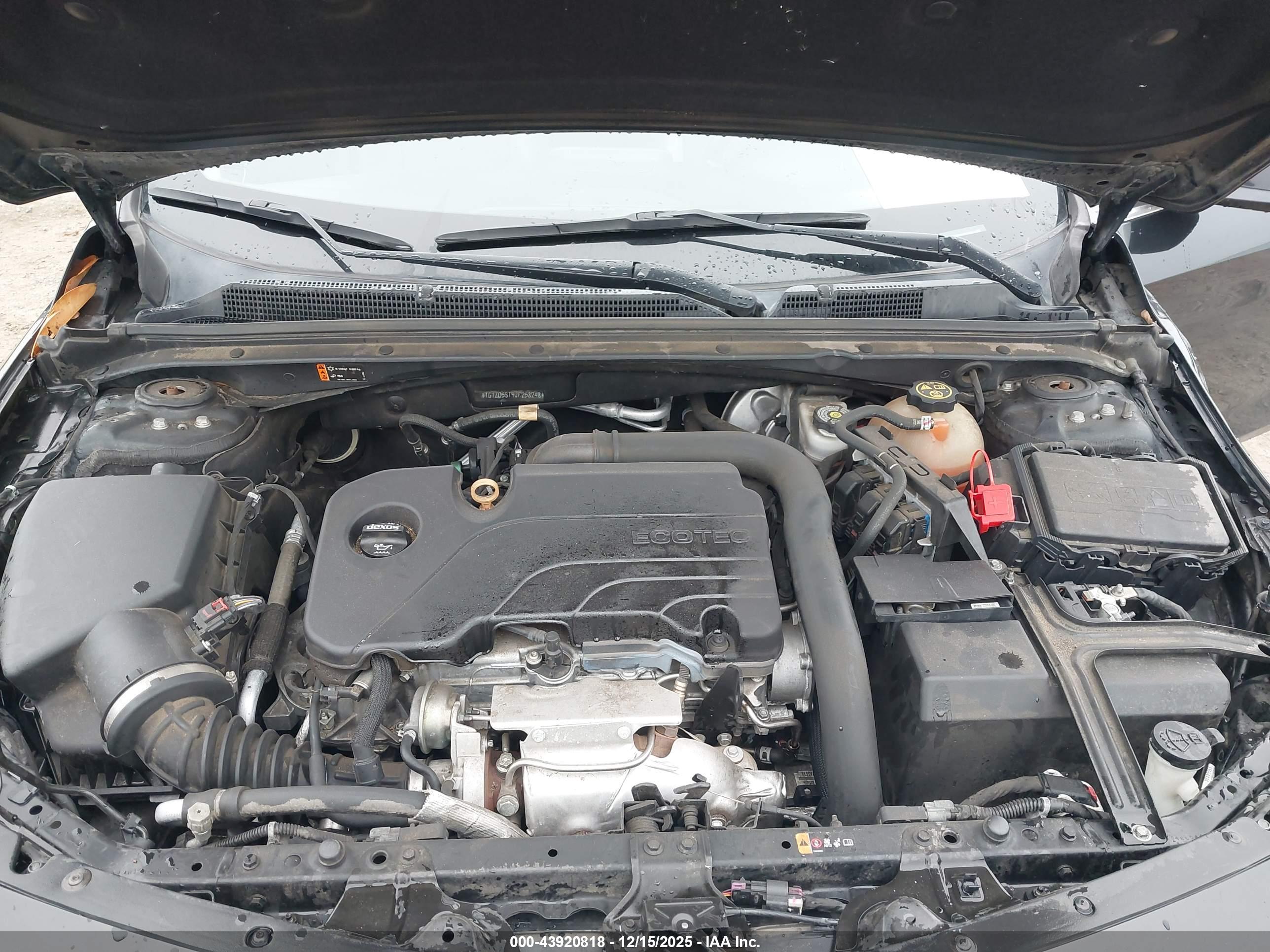 CHEVROLET MALIBU image 10